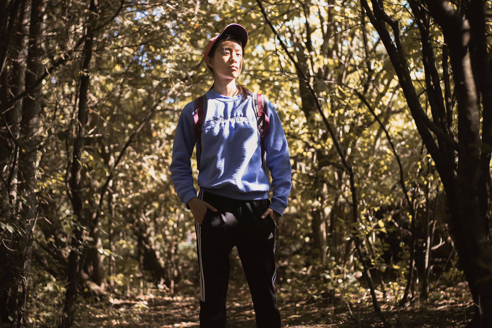 In the Trees