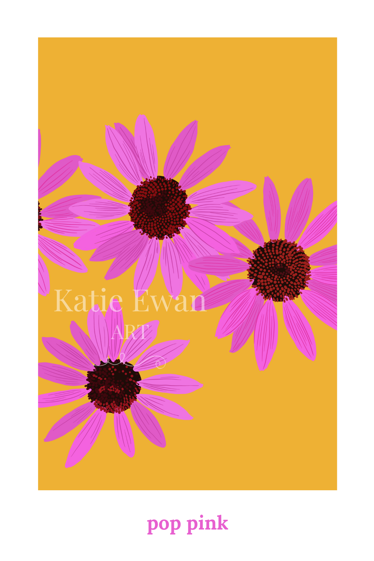 Day 11