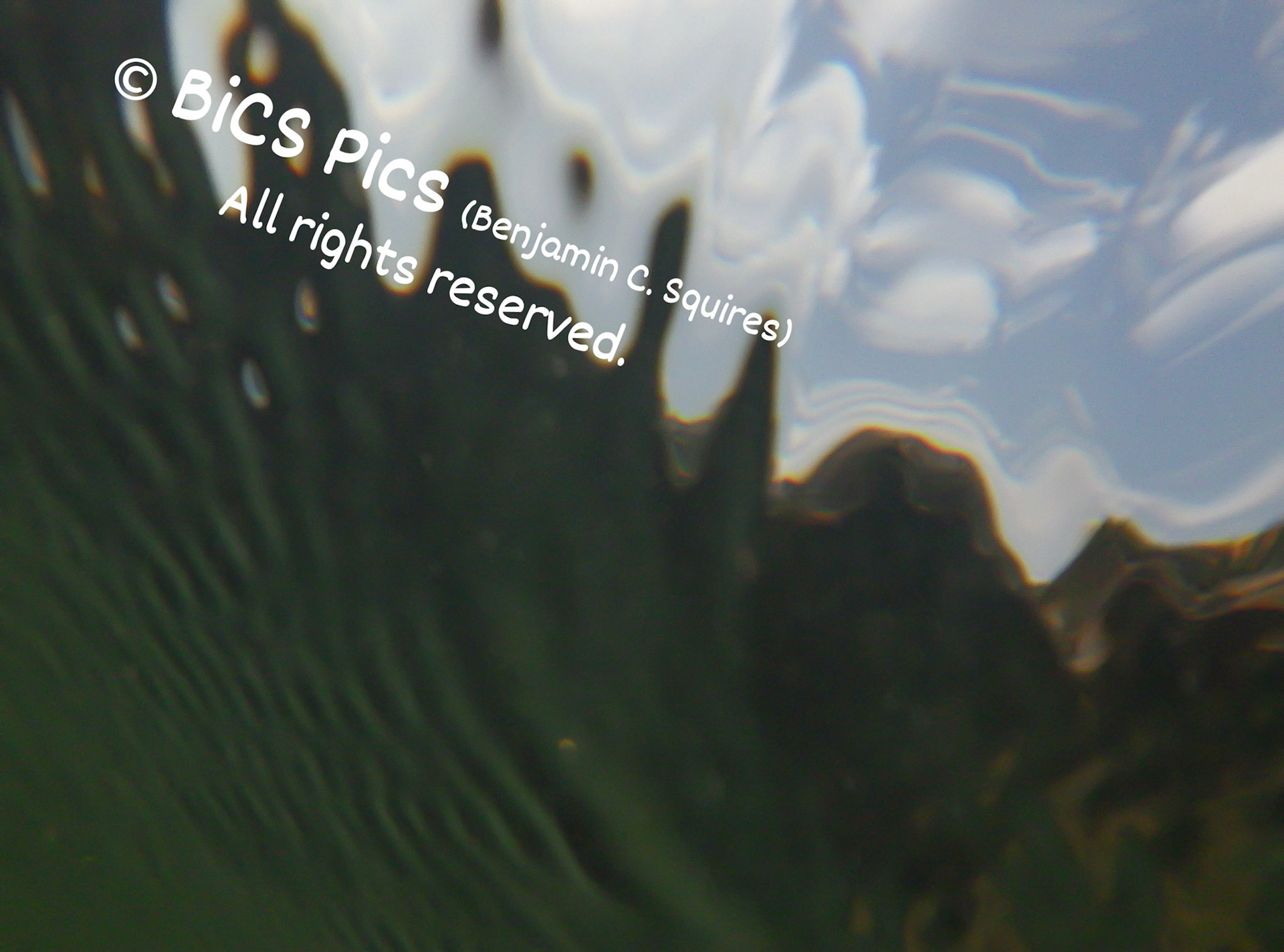 "Looking Up at the Mountains Through the Waves"