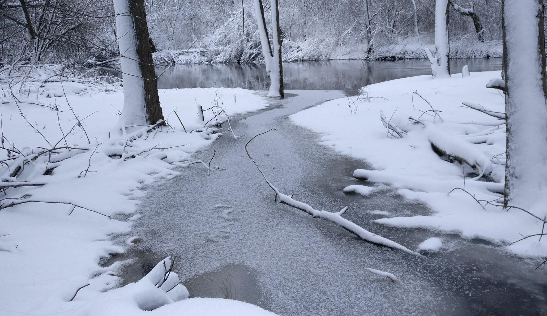 "Snow' Plaine Tributary", Des Plaines River, Gurnee, IL