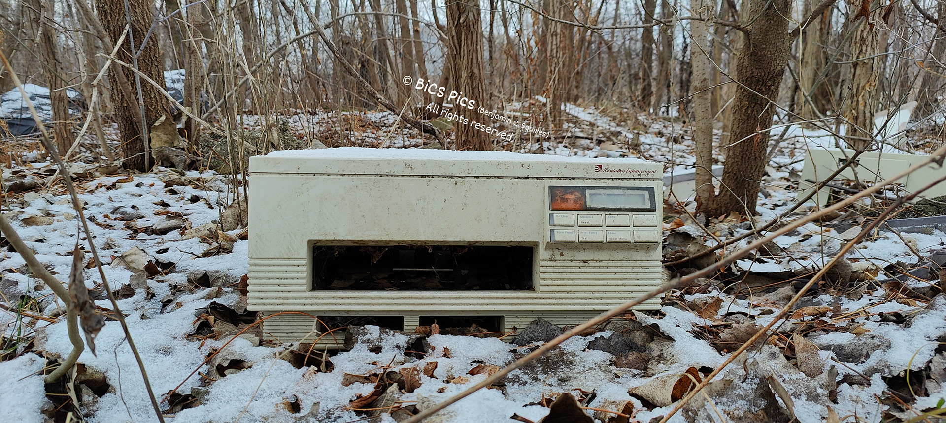 "Tree-to-Printer Forest", Waukegan, IL