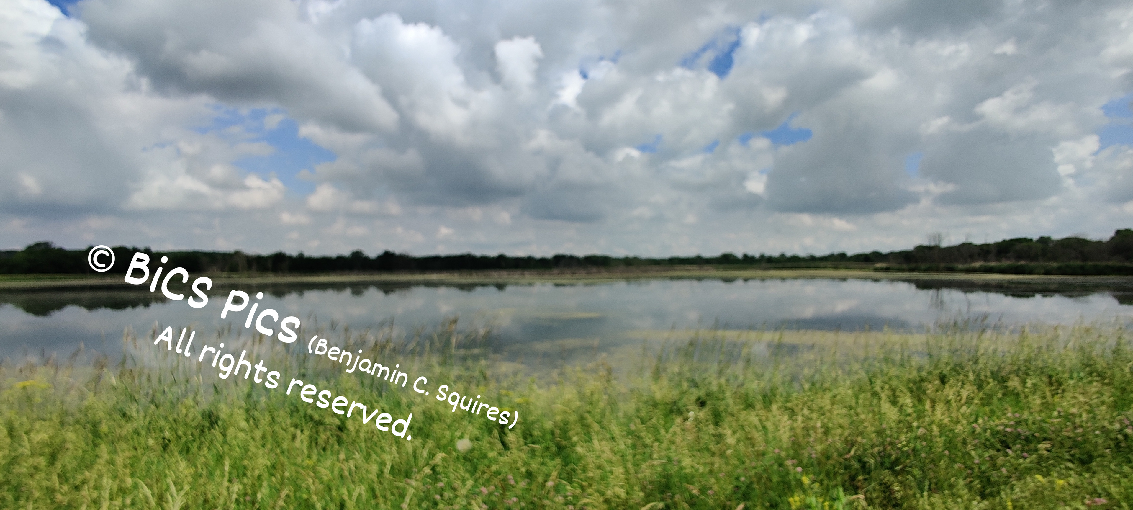 "Sky Not Cut-Off", Grant Creek Cut-Off / Grant Creek Natural Area, Wilmington Township, IL (2021)