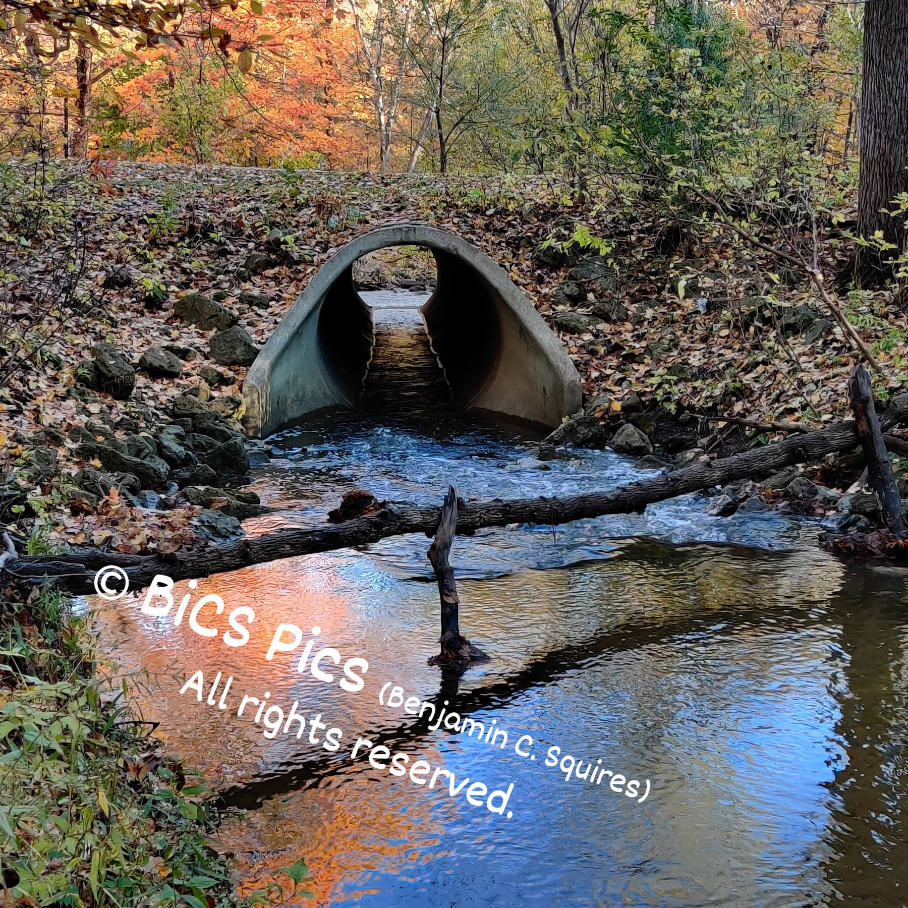 "Colourvert", Beulah Park, Zion, IL