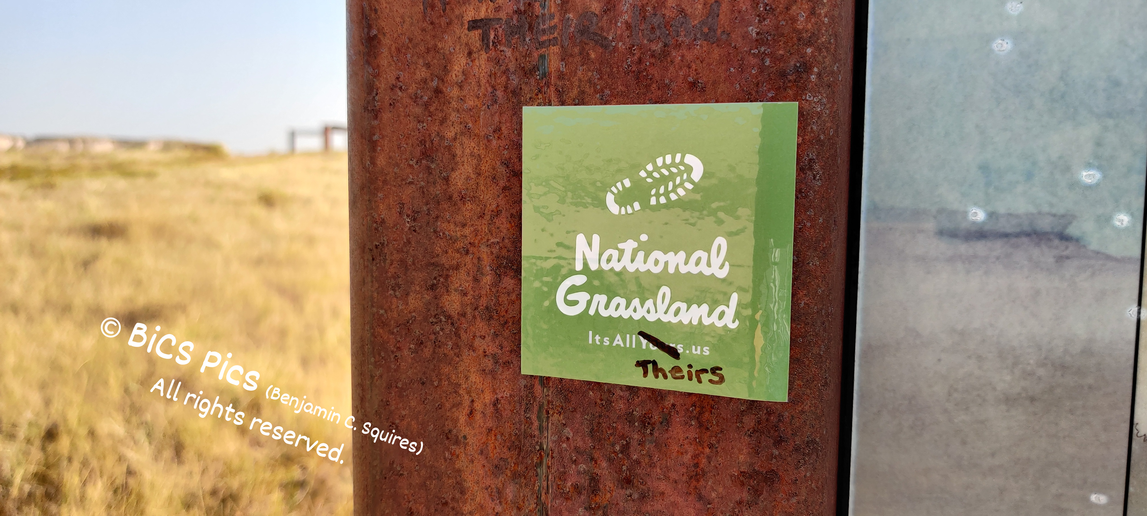 "Theirs", Pawnee Buttes, National Grasslands, Adult, CO (2020)