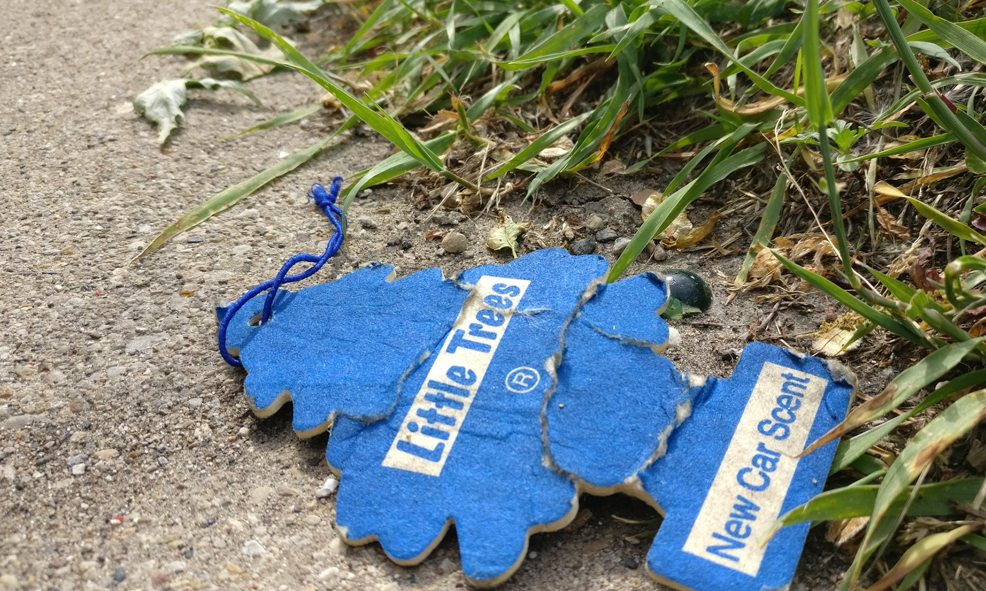 "#325" (600_ _), Grand Avenue, Lake County, IL  [new car scent]