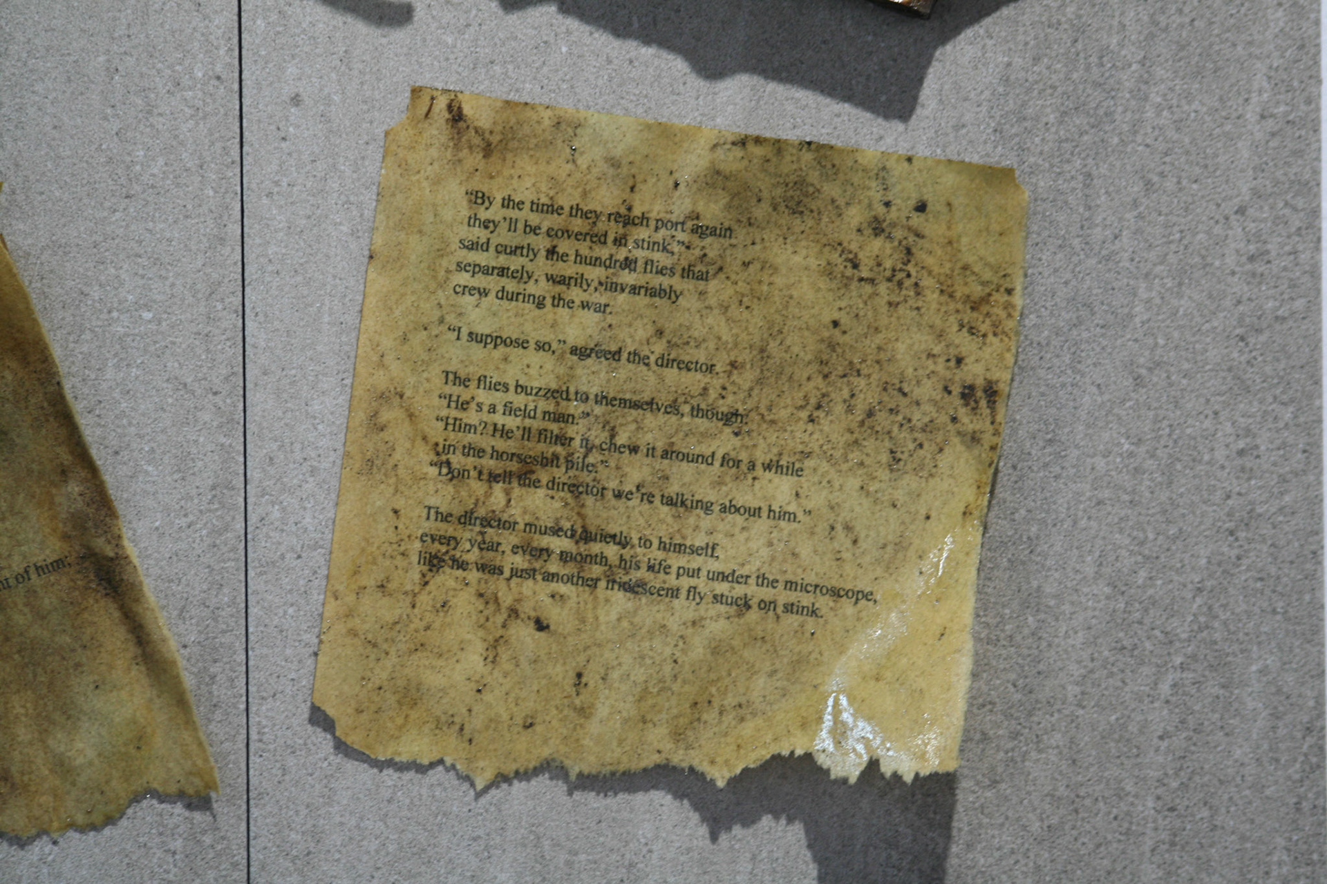 DETAIL: "Robert Ludlum Novel Found at a Bus Stop"