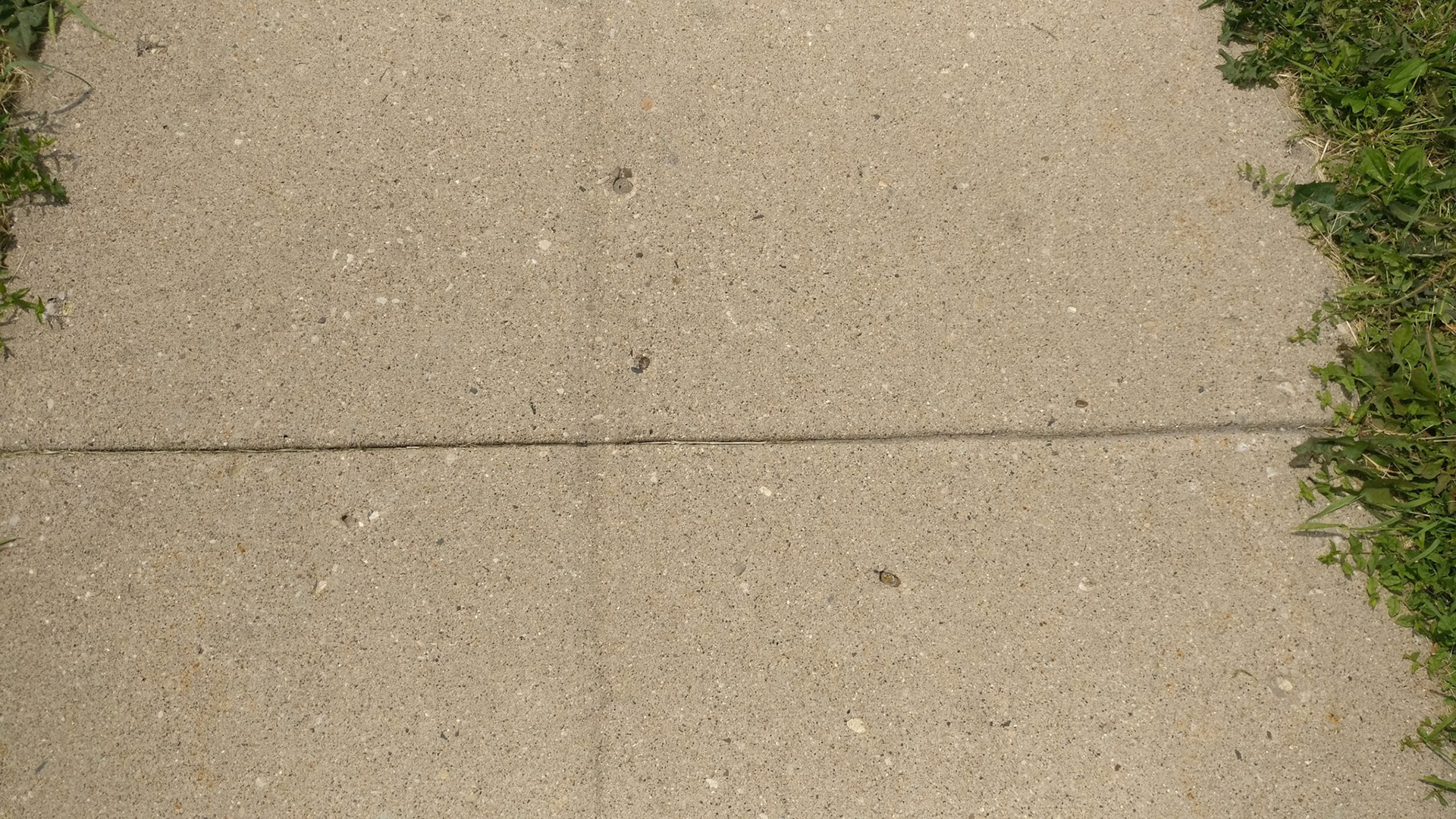 "#817" (600_ _), Grand Avenue, Lake County, IL  [sidewalk]