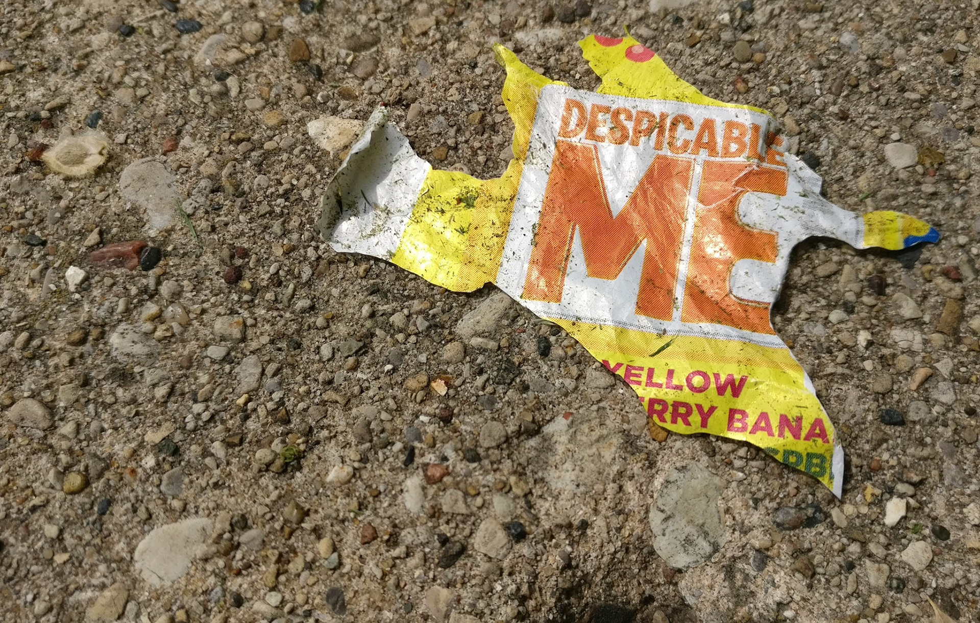 "#804" (600_ _), Grand Avenue, Lake County, IL  [despicable me]