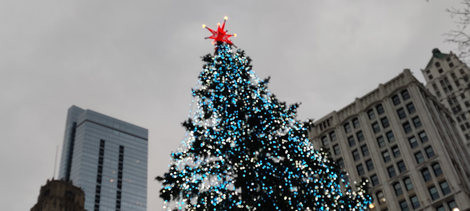 "Chicago Blurry Star", Maggie Daley Park, Chicago, IL