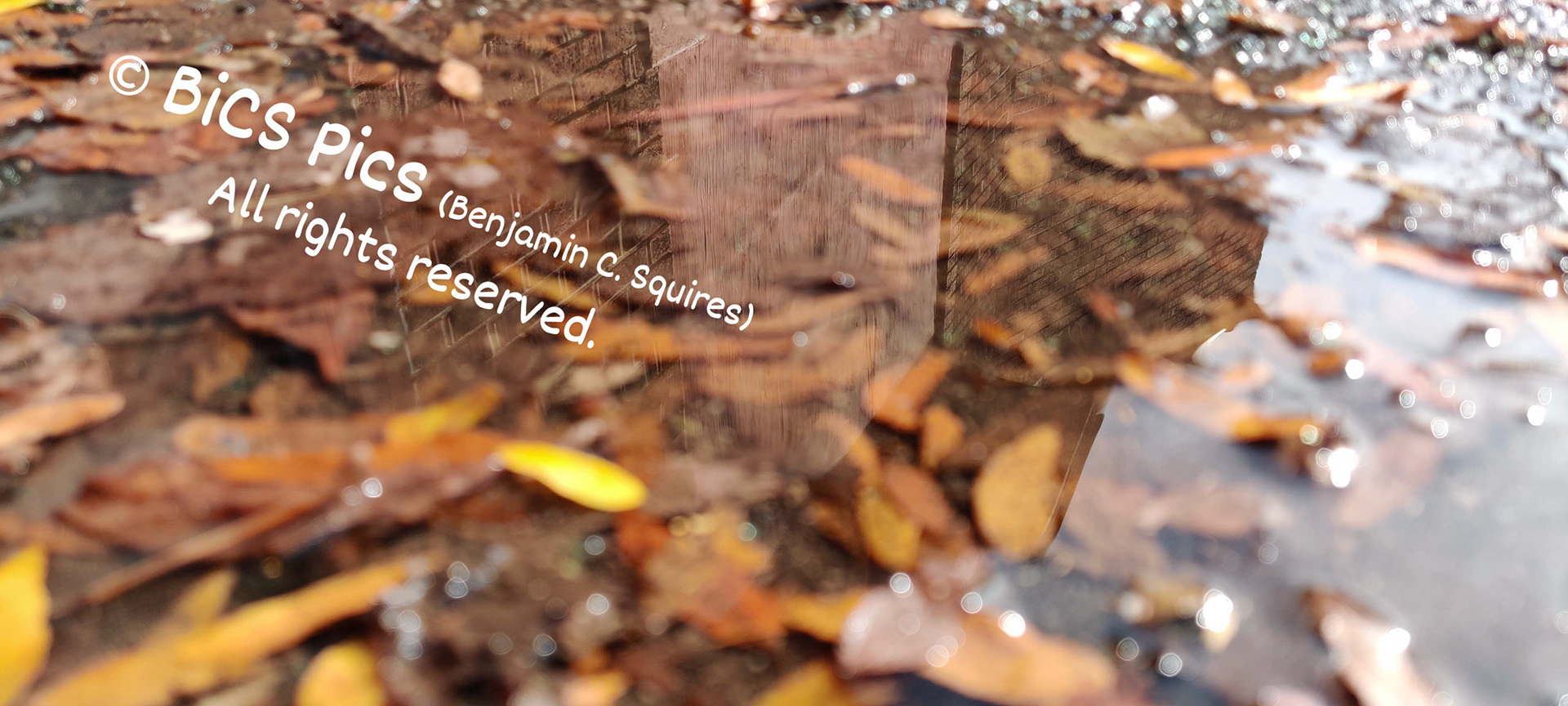 "Boarded Up", NOSCO Outbuilding, Site of Marcellis Stinnette's Death, 631 S M.L.K. Jr Ave, Waukegan, IL