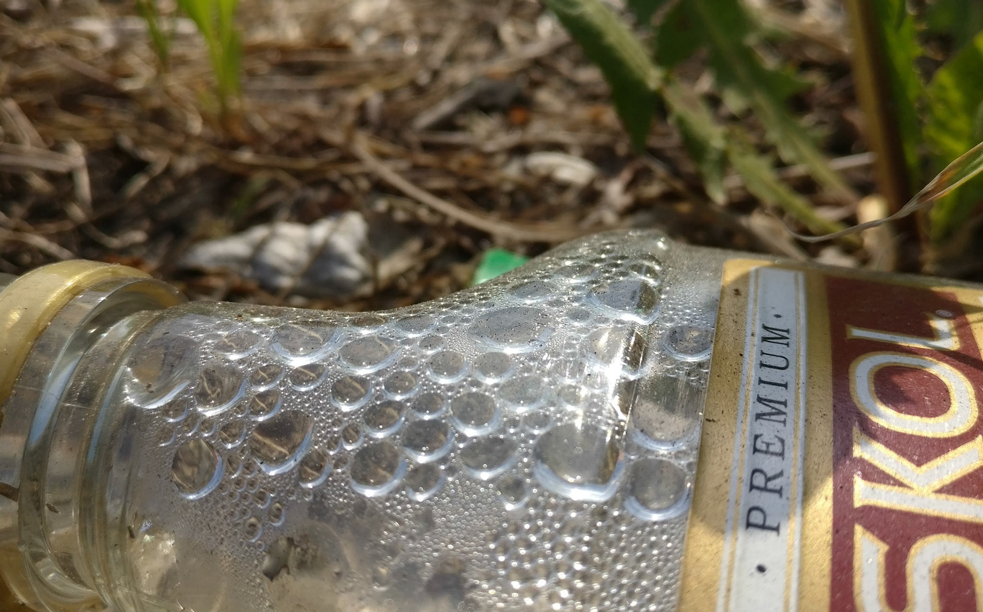 "#755" (600_ _), Grand Avenue, Lake County, IL  [skol]