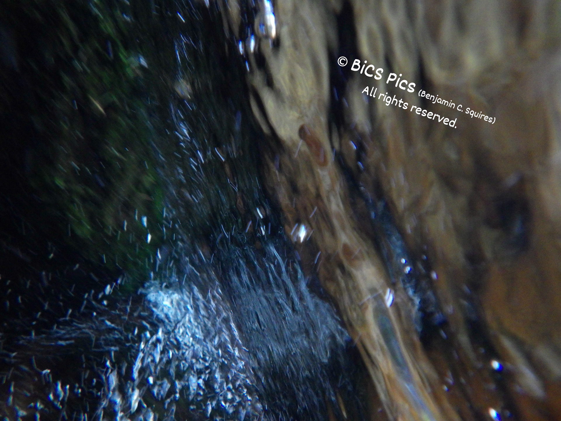 "Vertical Vision of a Horizontal Creek Taking a Small Fall", Hoke in the Wall Creek, Wild Basin, Rocky Mountain National Park, Allenspark, CO (2020)