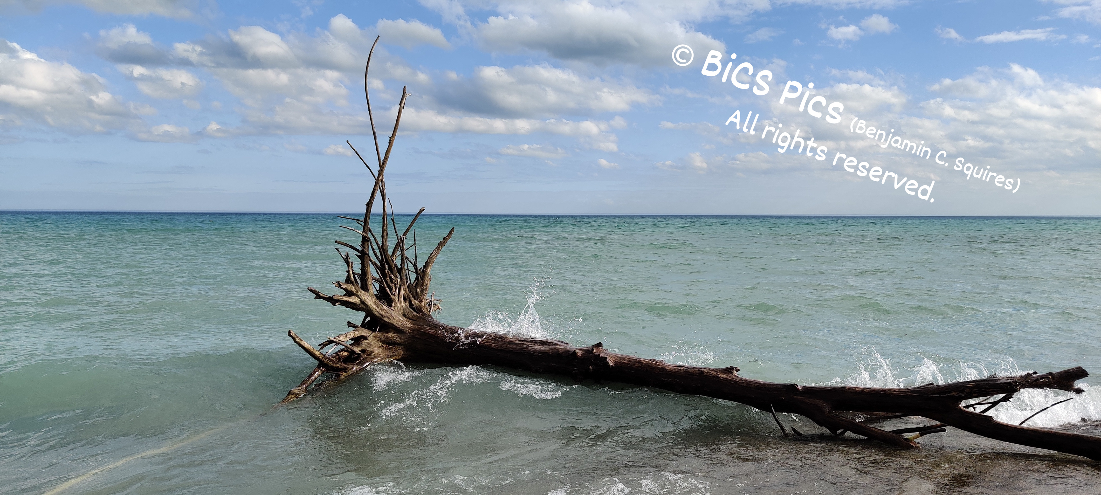 "Windfall Breaker", Illinois Beach State Park, Zion, IL (2020)