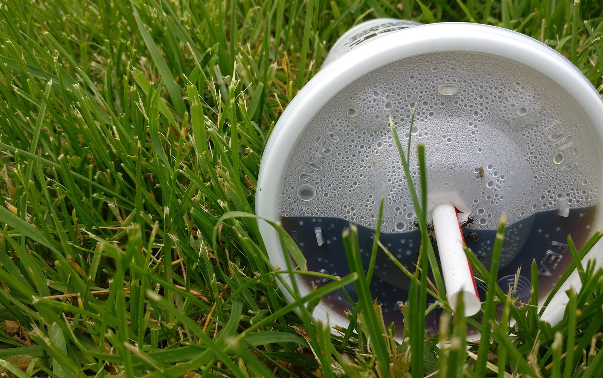 "#543" (600_ _), Grand Avenue, Lake County, IL  [other or diet or cola ants]