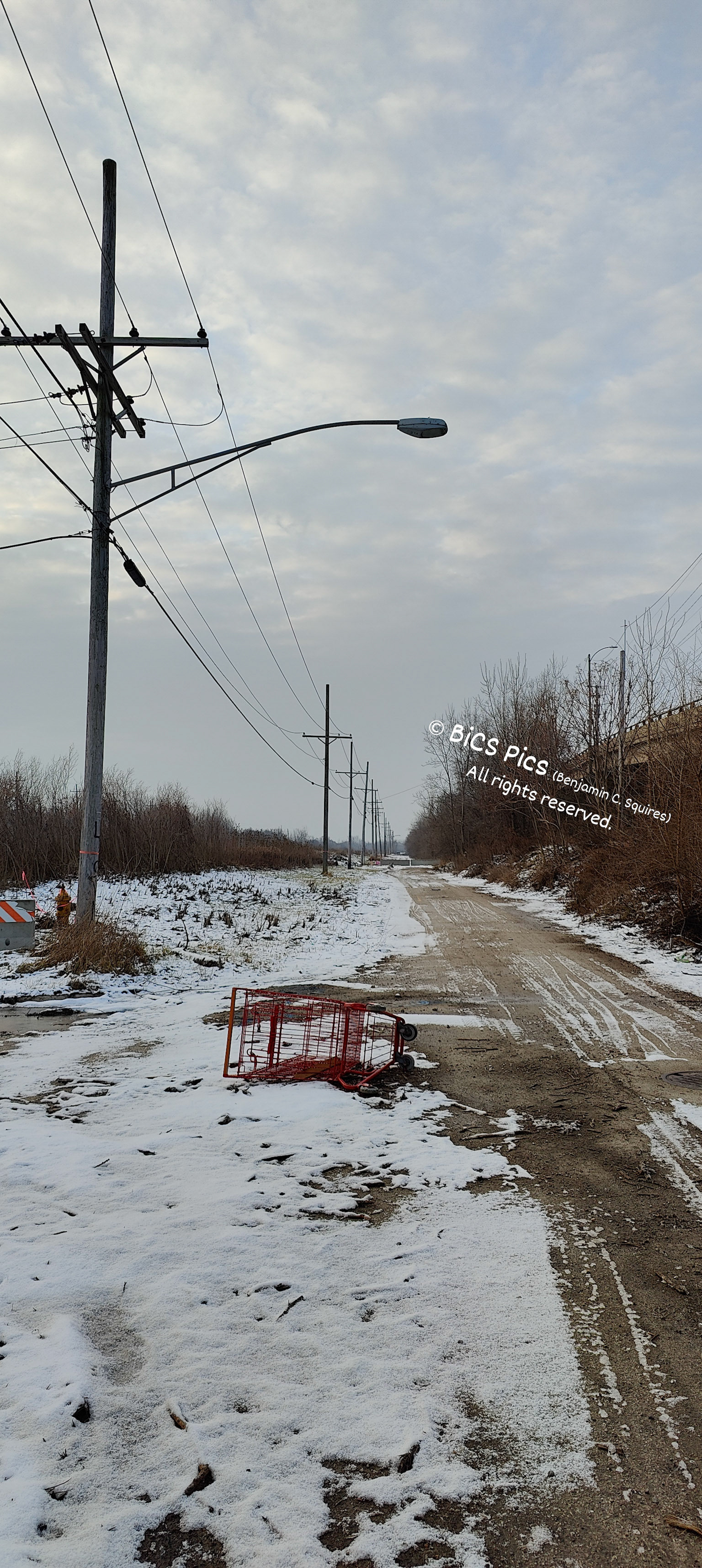 "What? Don't You Park Your Shopping Cart in the Middle Nowhere, Too? (although this is actually next to the biggest city in Lake County, IL)", Waukegan, IL