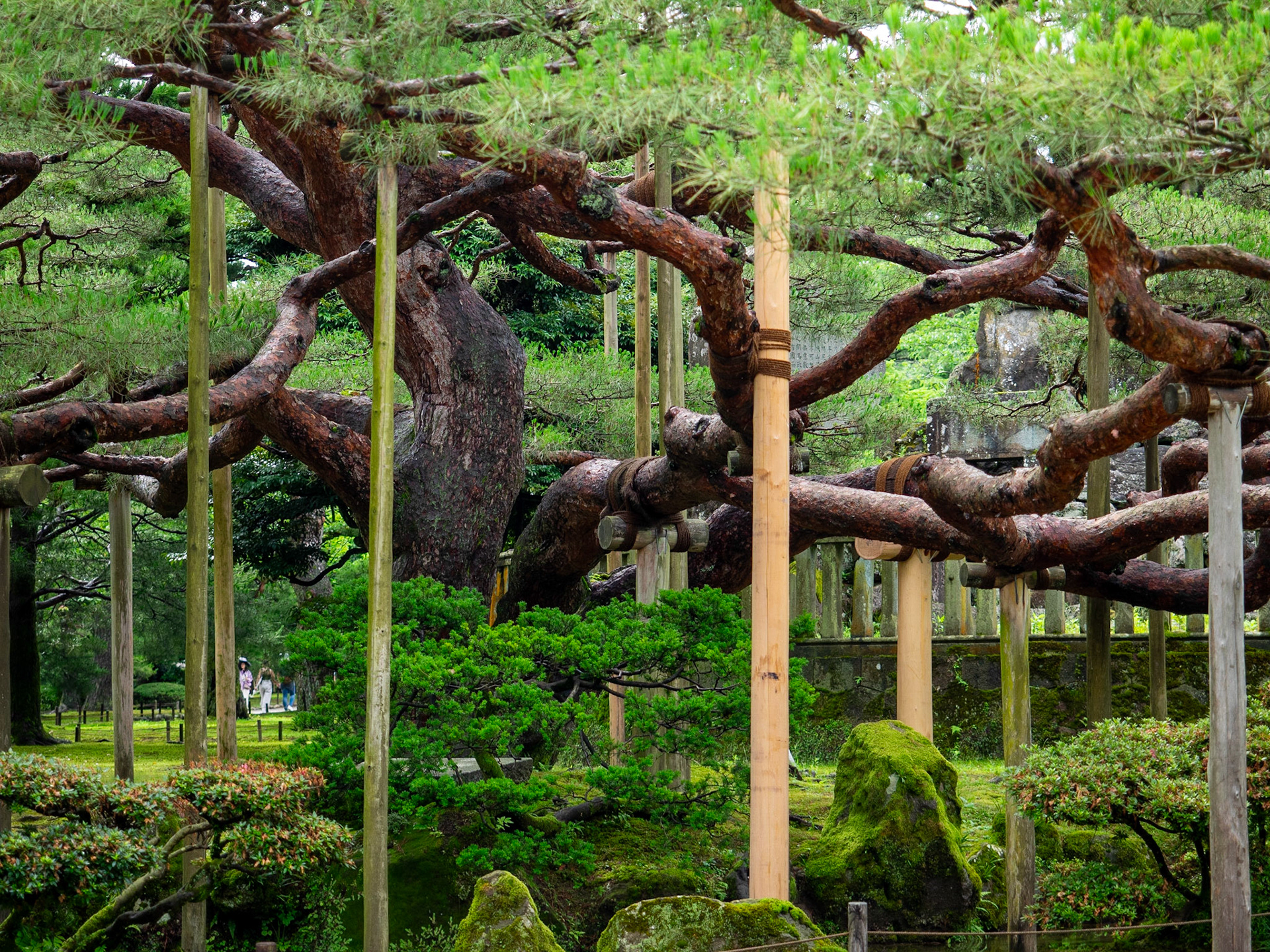Kenroku-en, Kanazawa