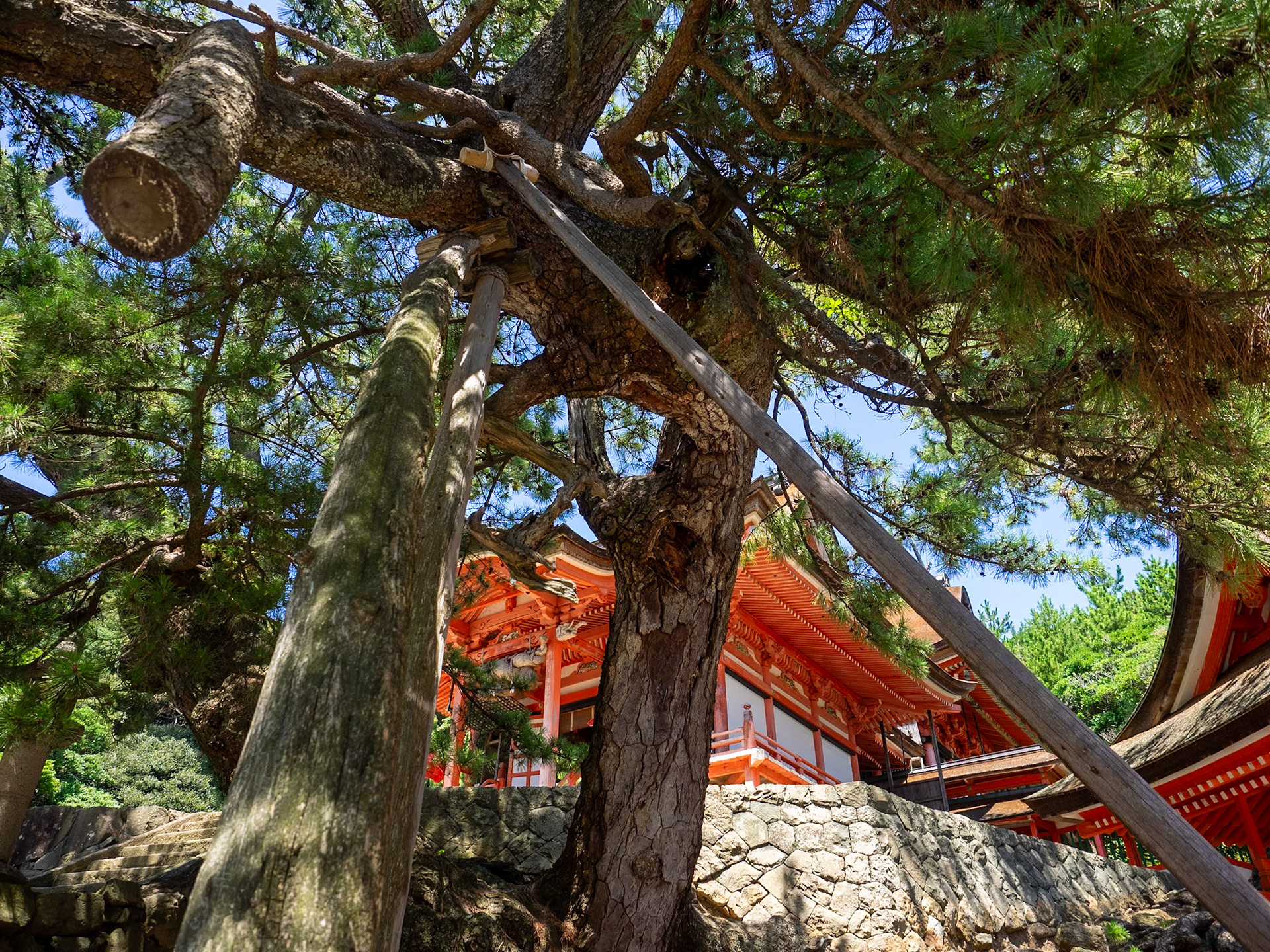 Hinomasaki Shrine, Shimane Peninsula