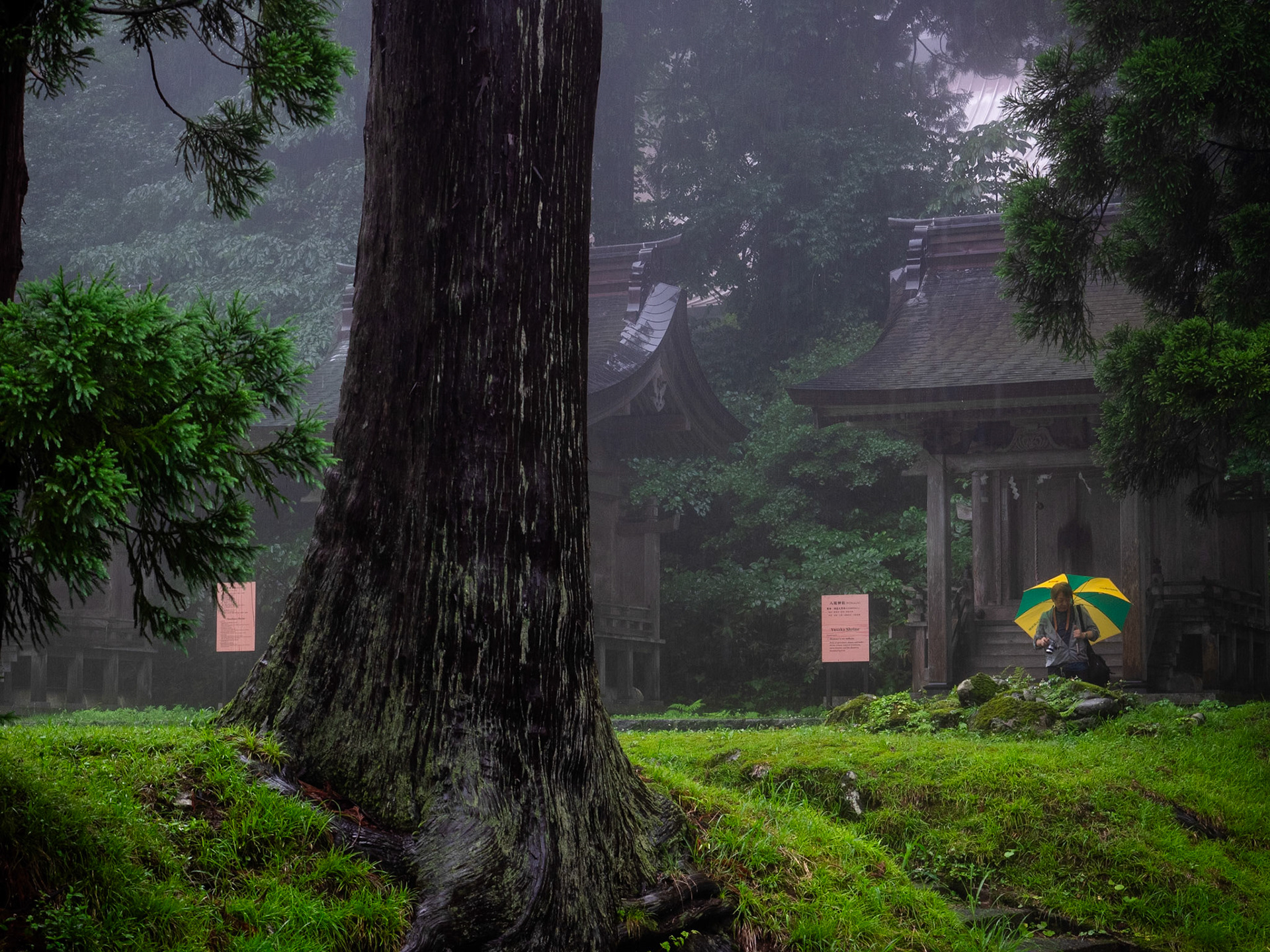 Mt Haguro Dewa Sanzan