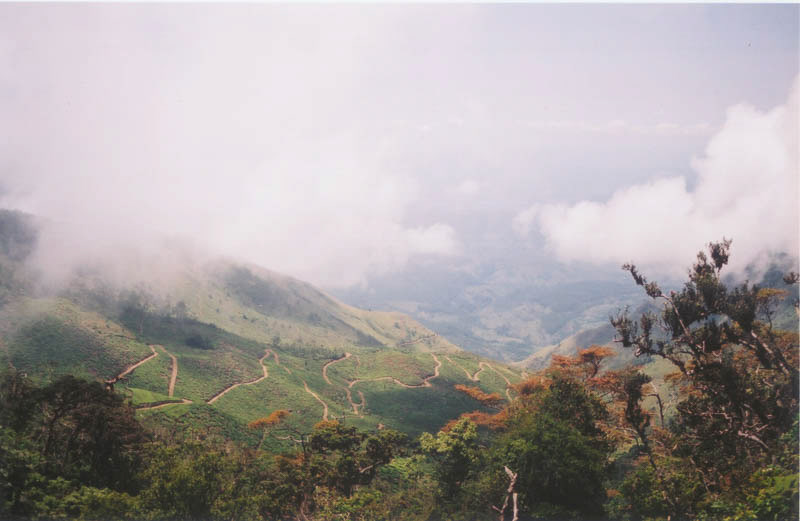 Ella Gap