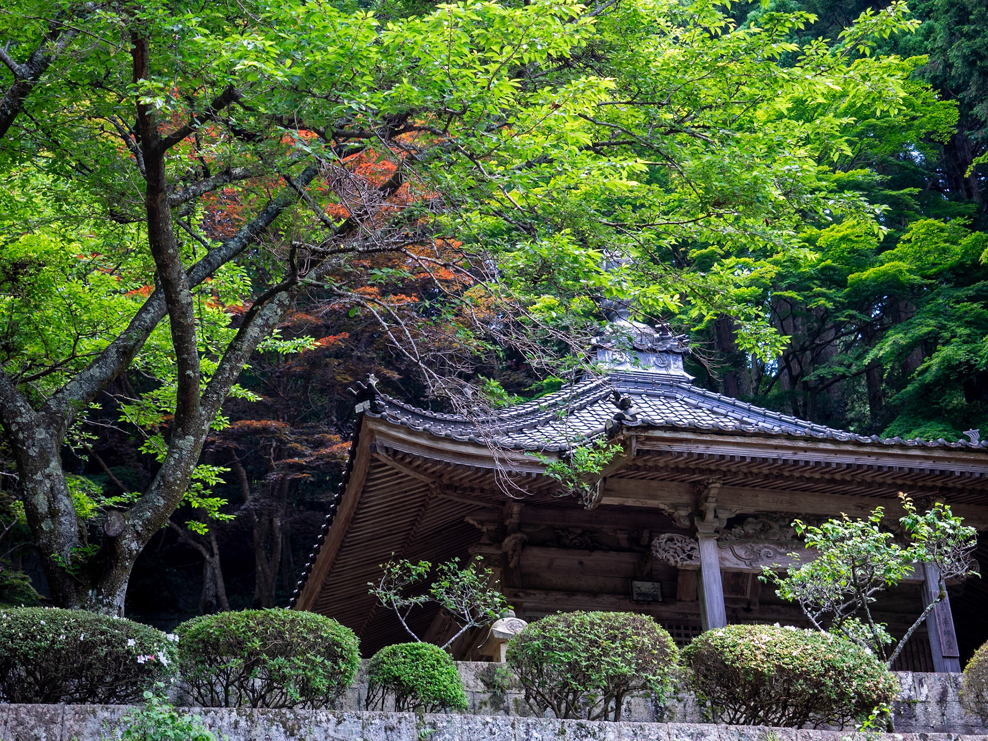 Hashikura Temple, Shikoku
