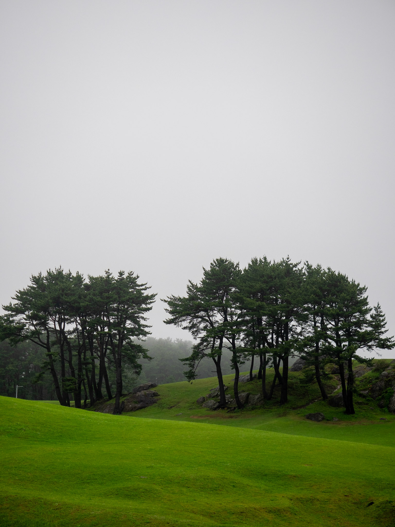 Tanesashi Coast, Hachinohe