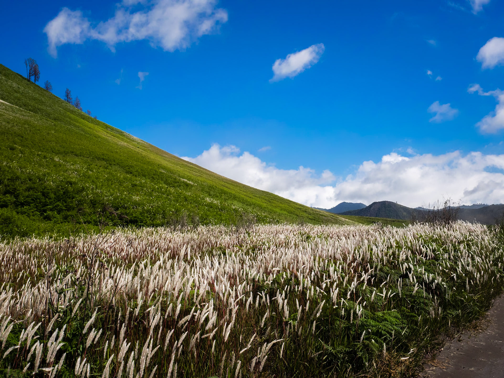Mount Bromo