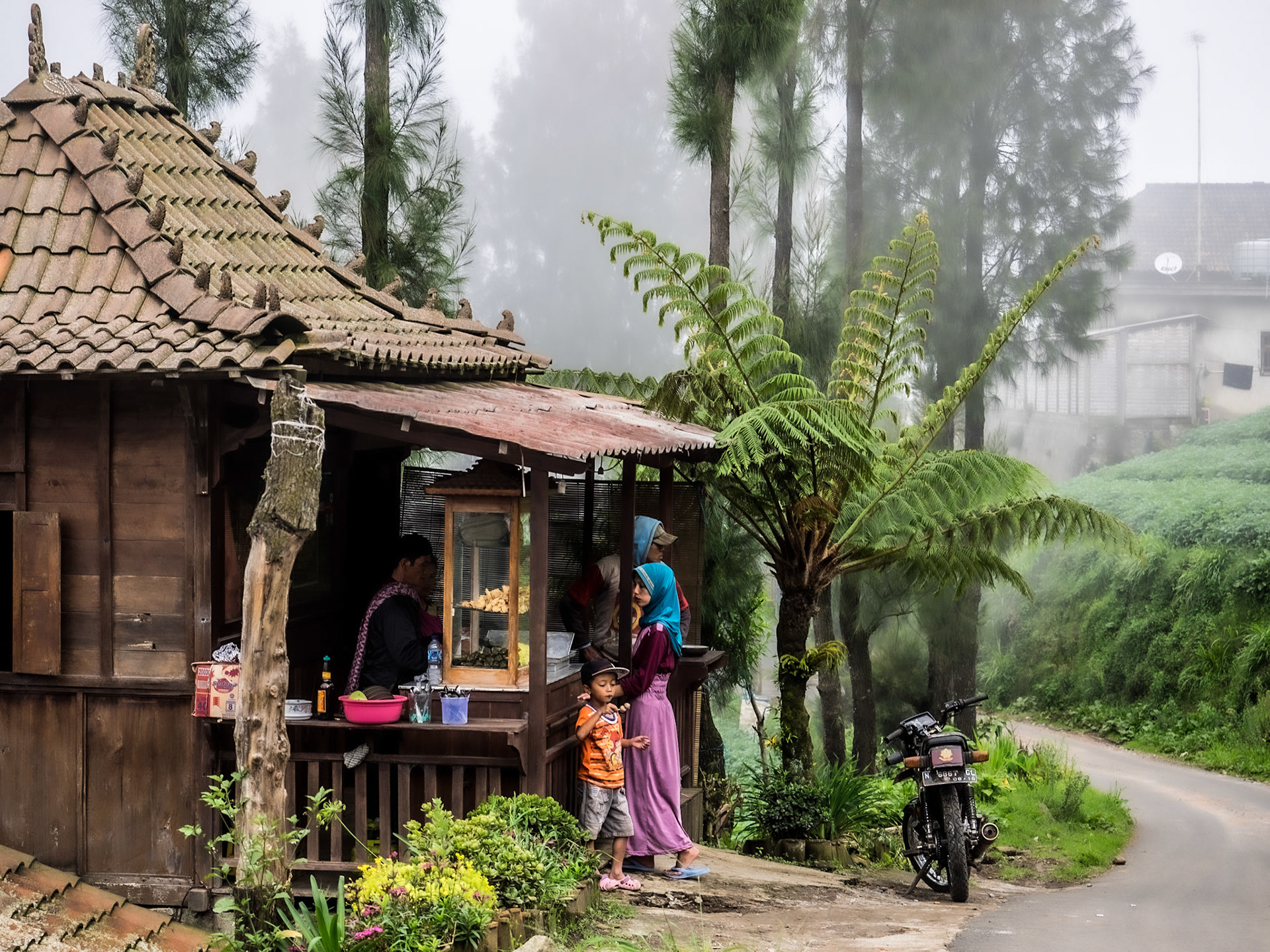 Road to Mount Bromo