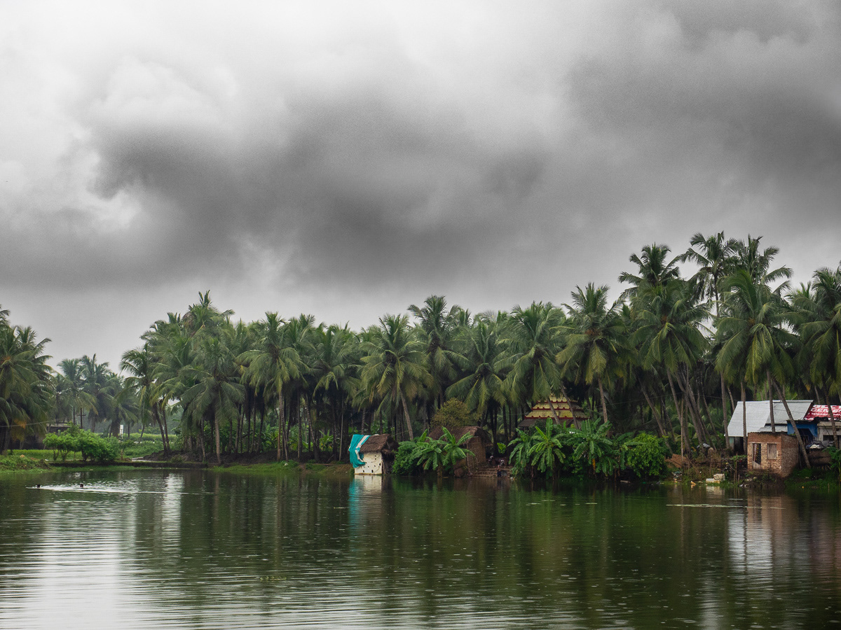 Odisha Countryside