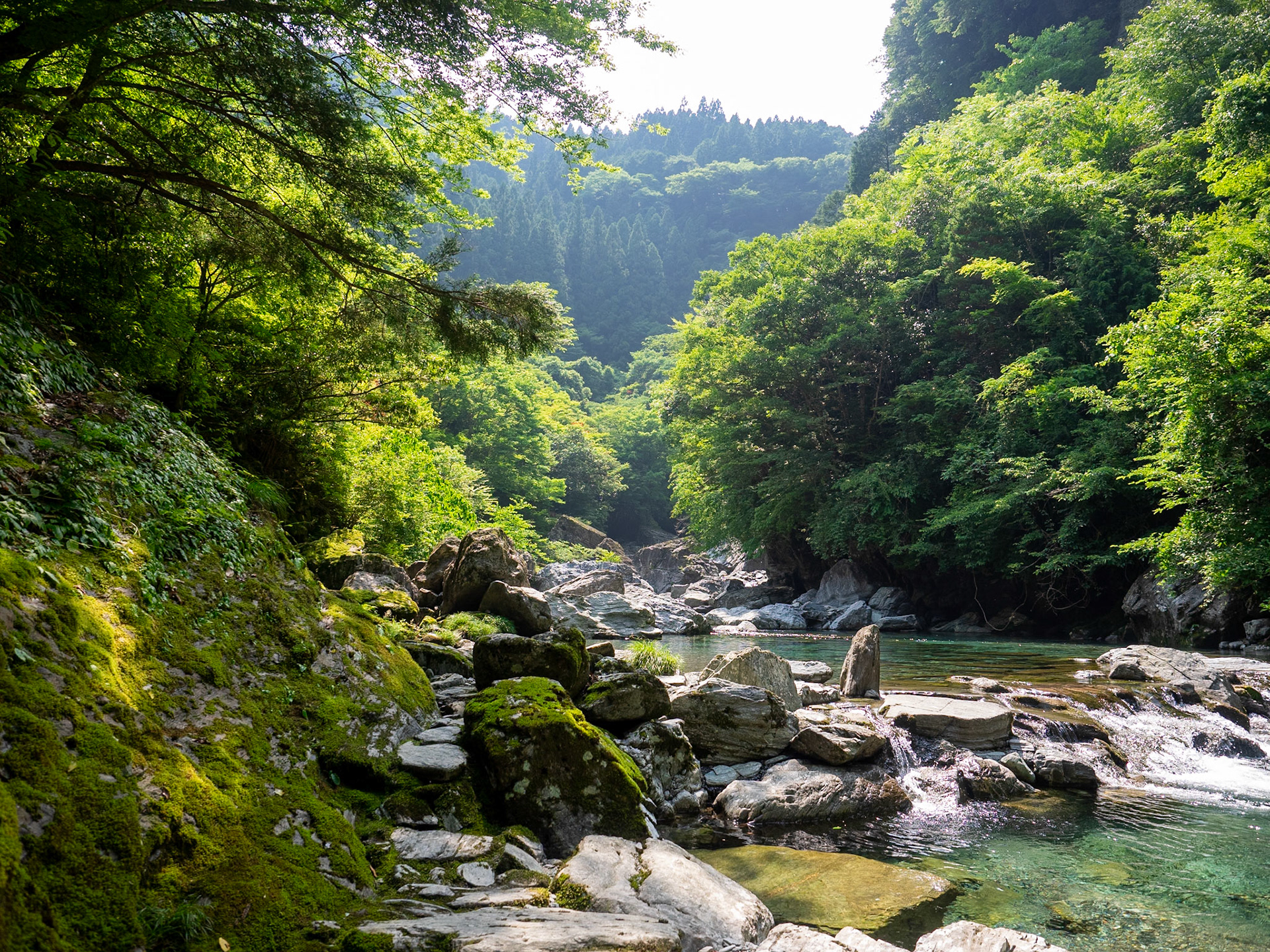 Yasui Gorge