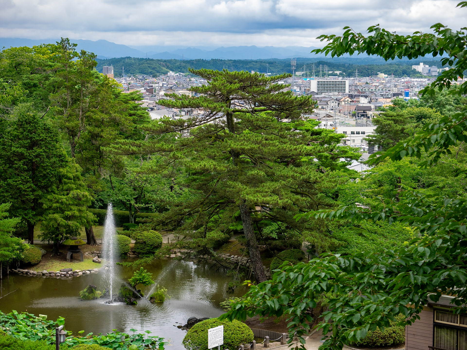 Akita