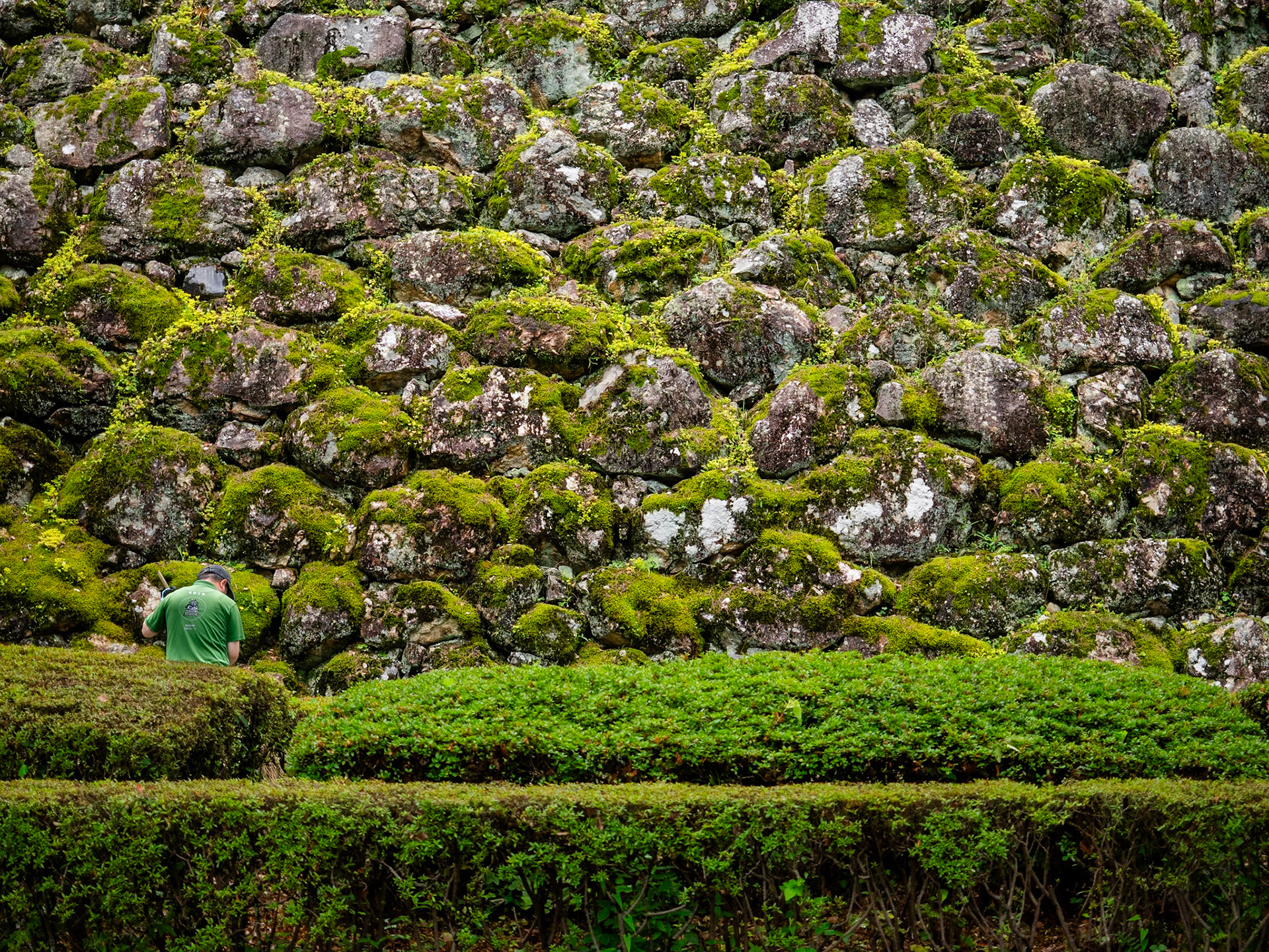 Kochi Castle Walls