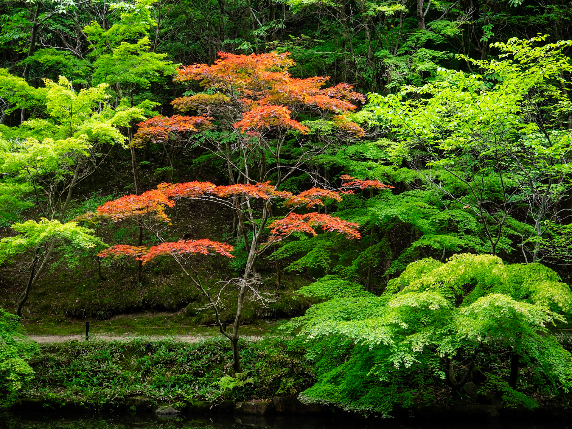 Shinshoji Zen Museum and Gardens