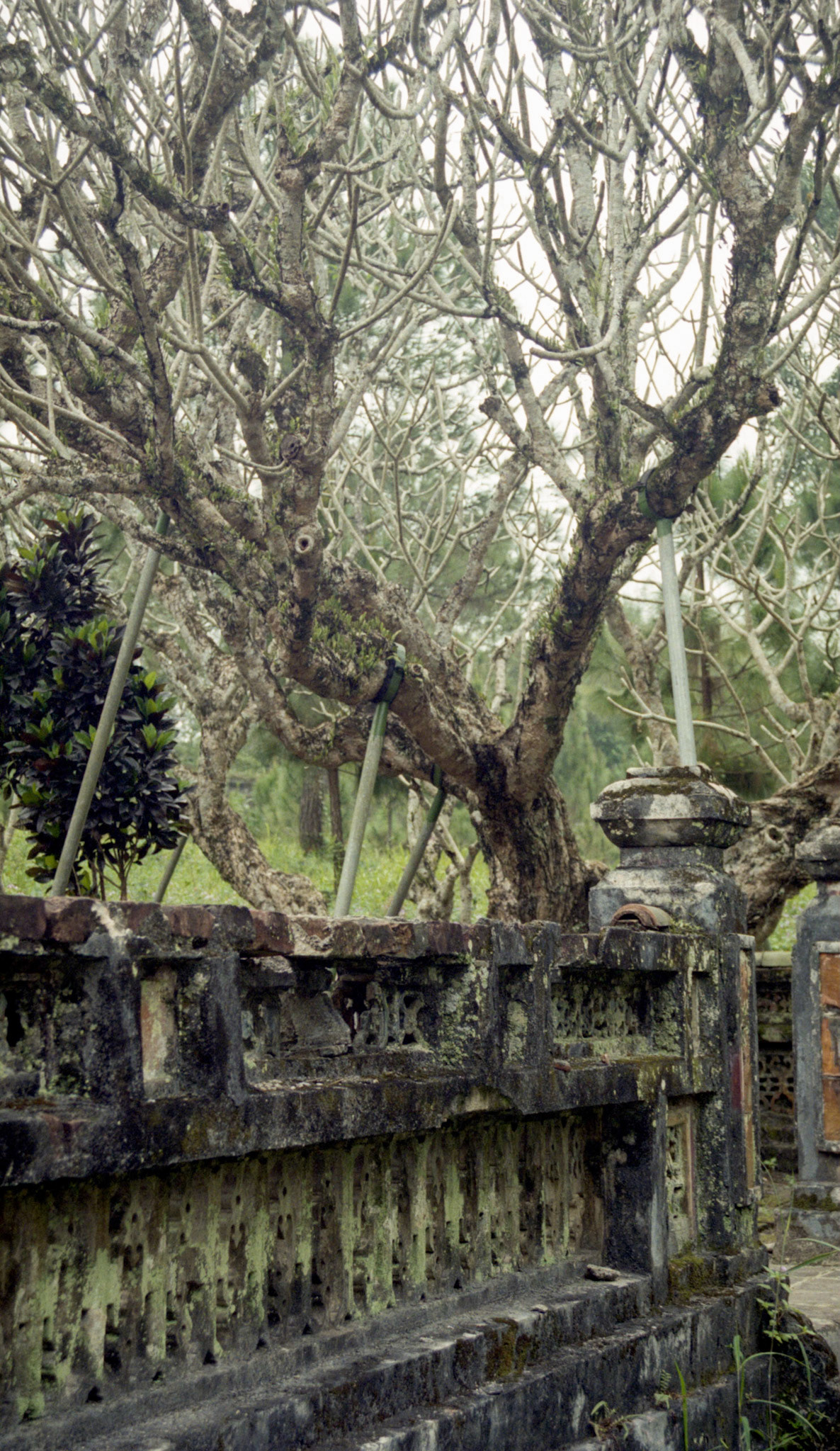 Tomb, Hue