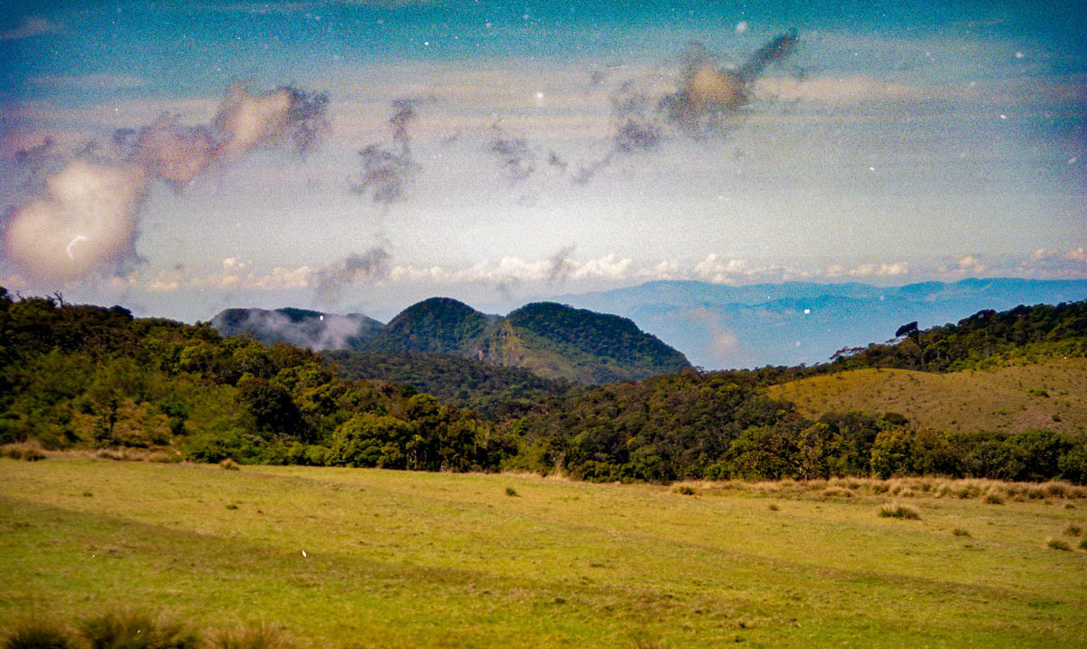 Horton Plains