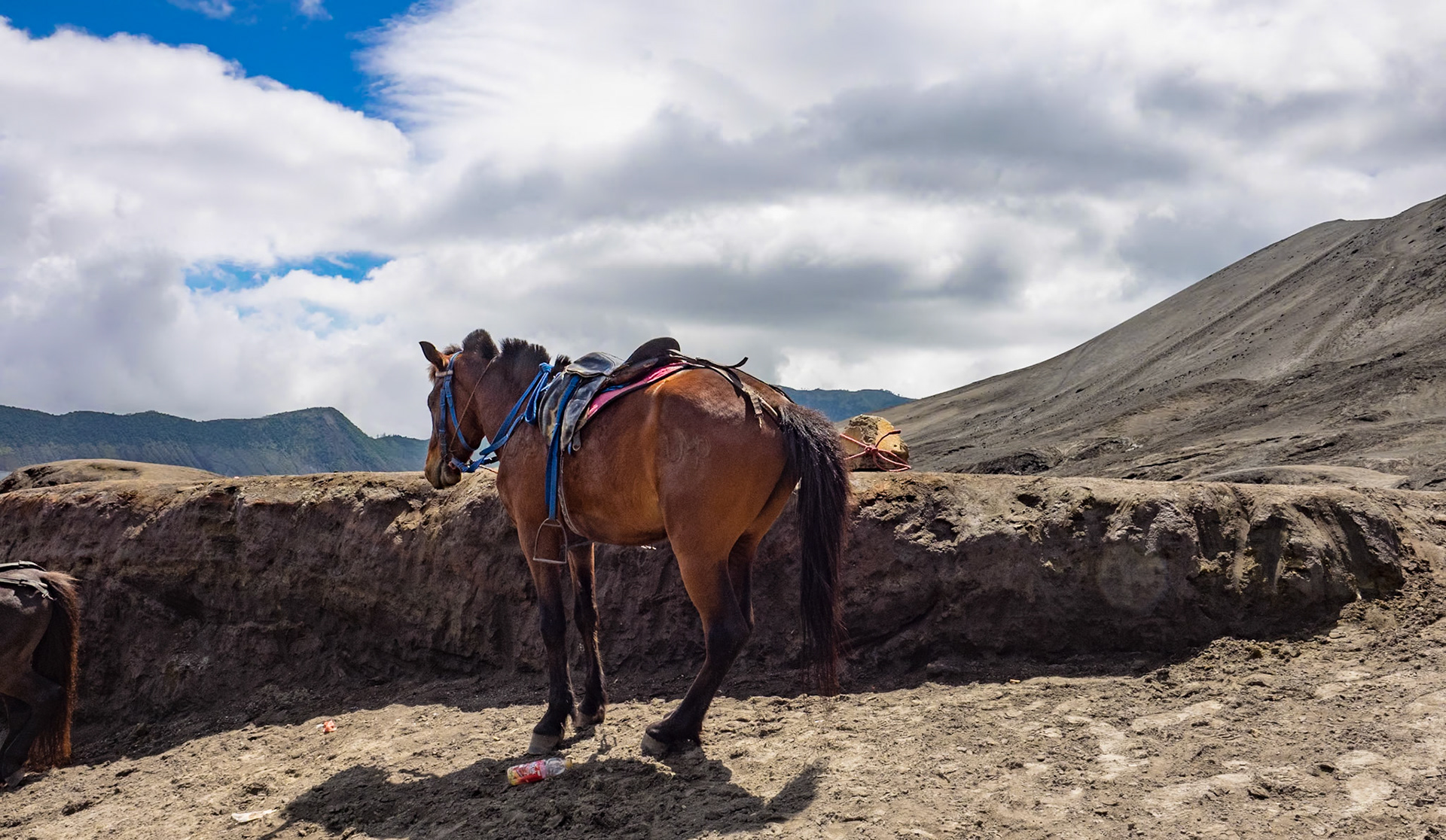 Mount Bromo