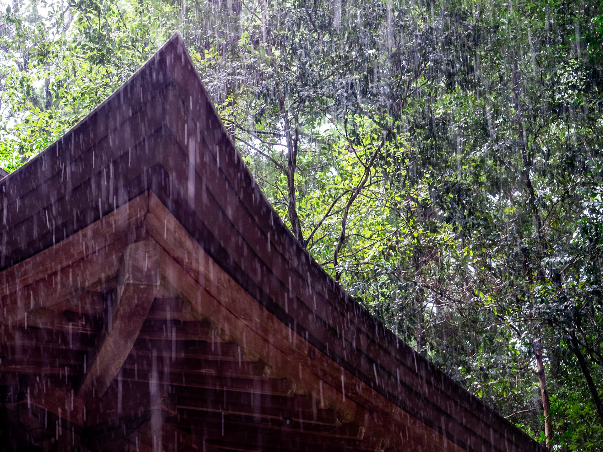 Takachiho Shrine