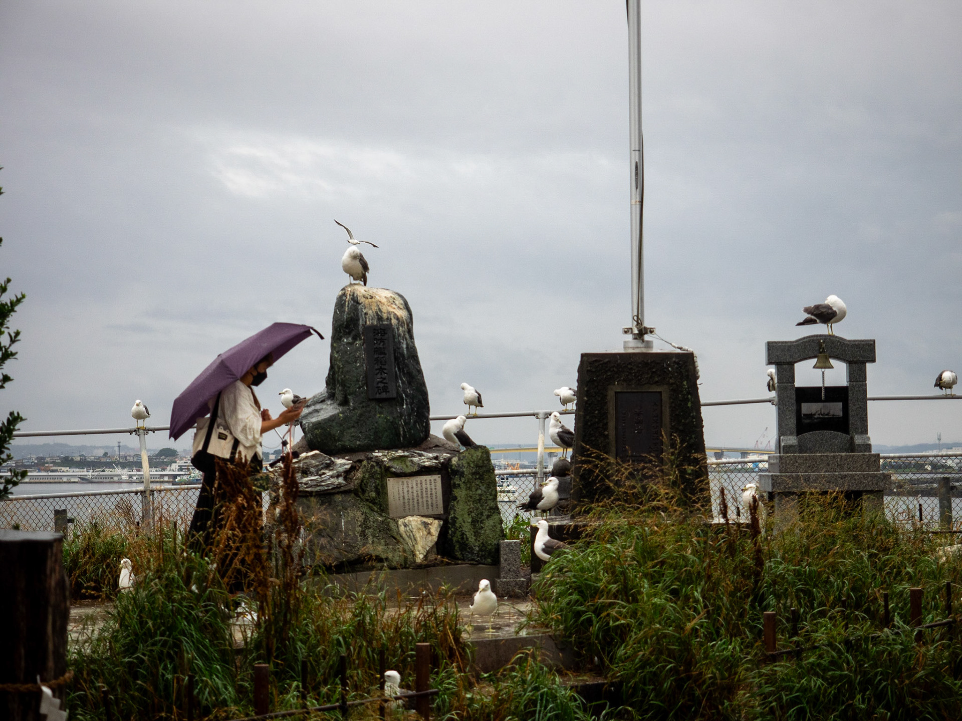 Hachinohe