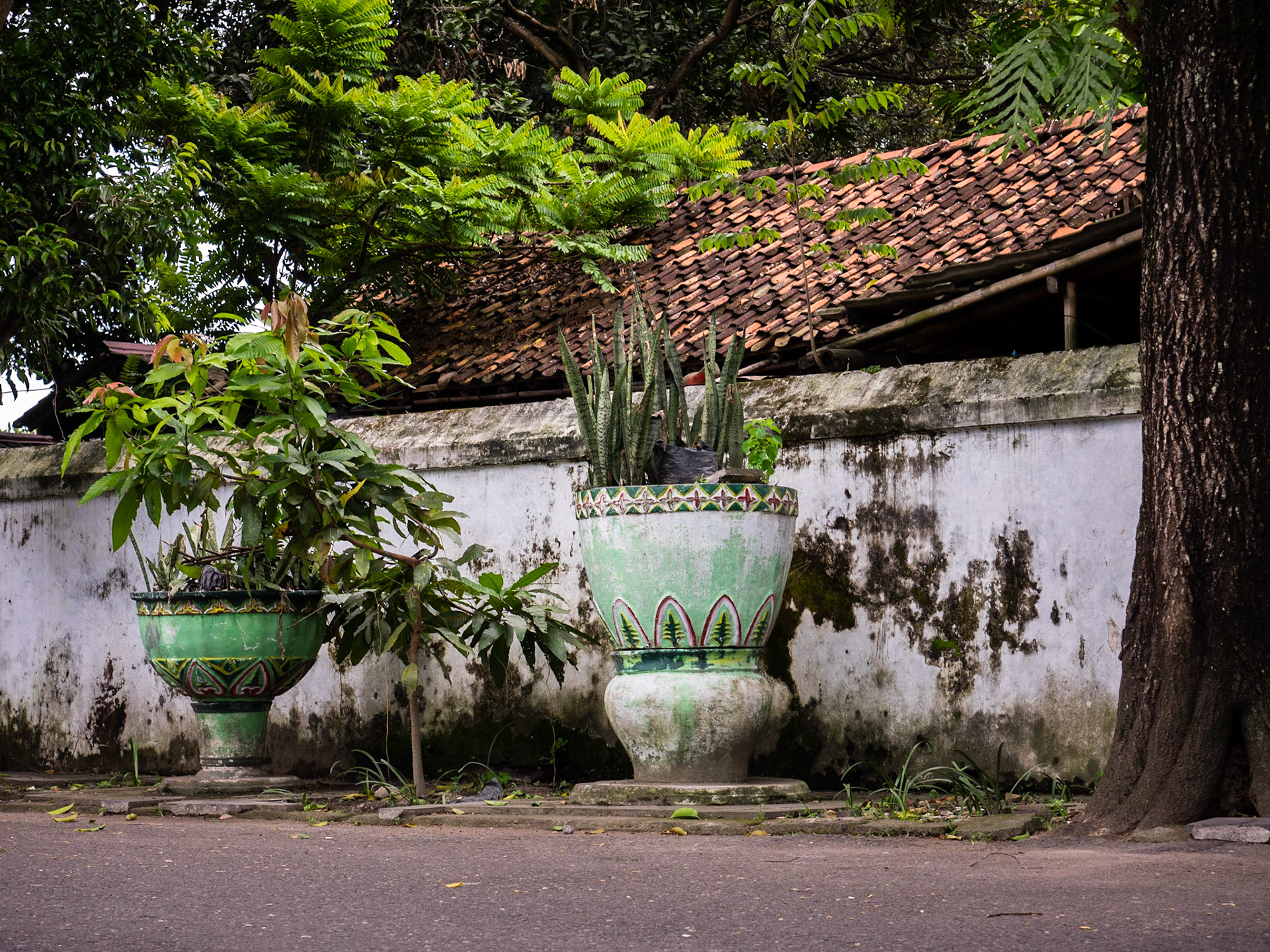 Yogyakarta