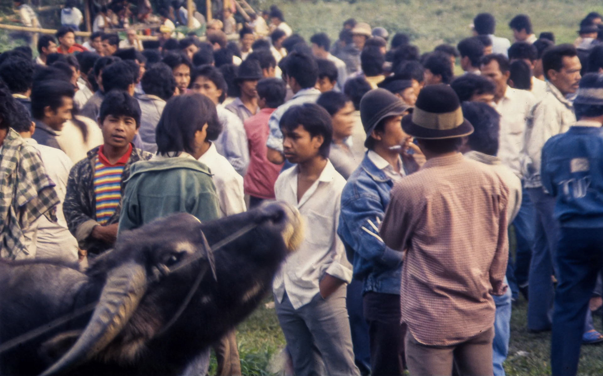 Bukittinggi Cattle Market 1991
