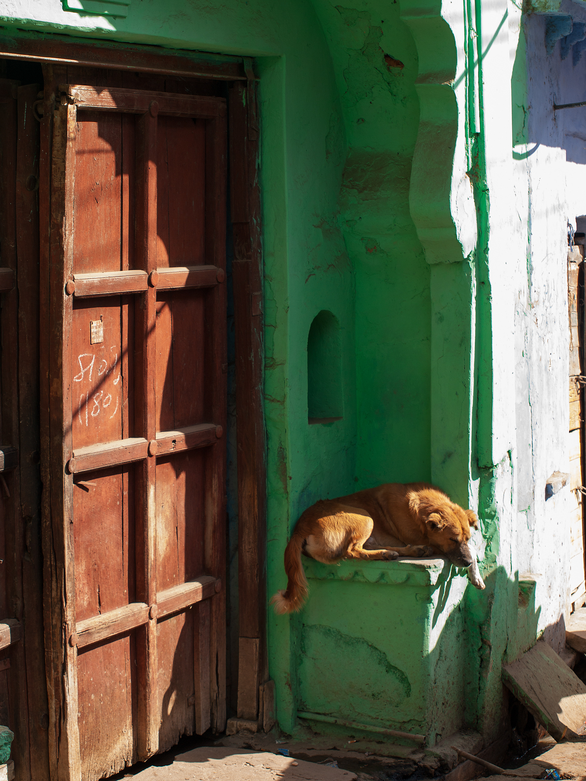 Bundi