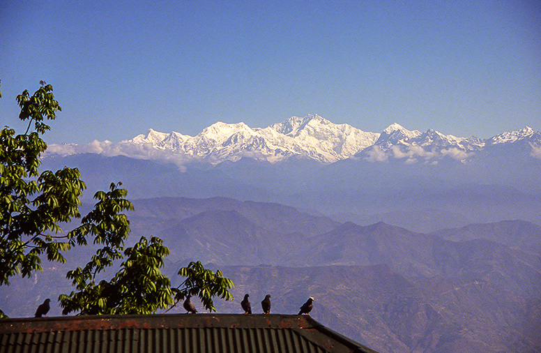 Darjeeling
