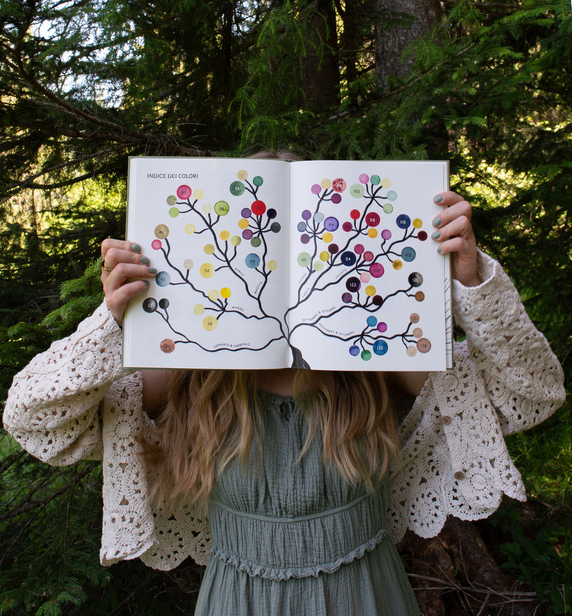summary of colours present in the book