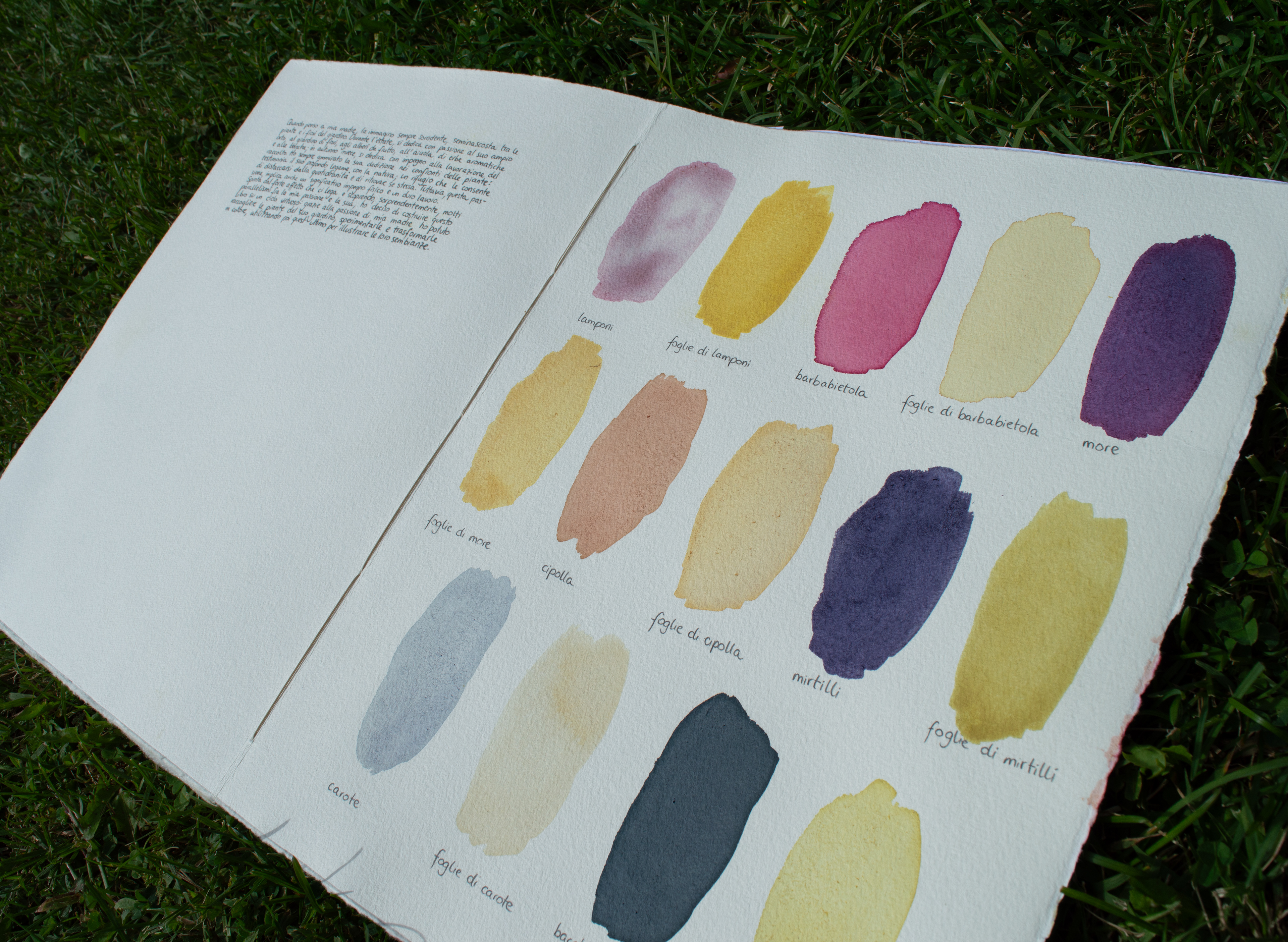 list of colours in the book