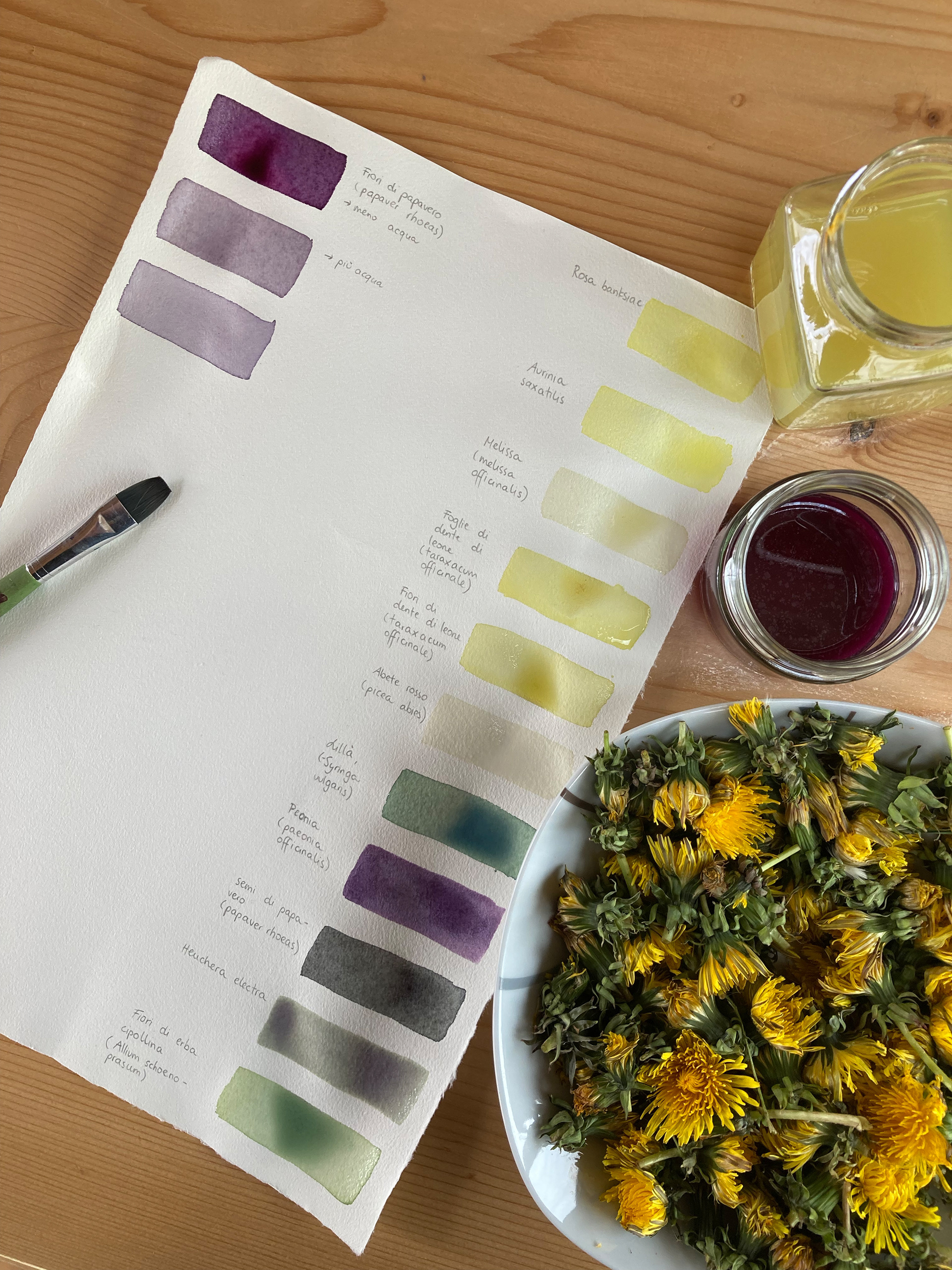 colour samples