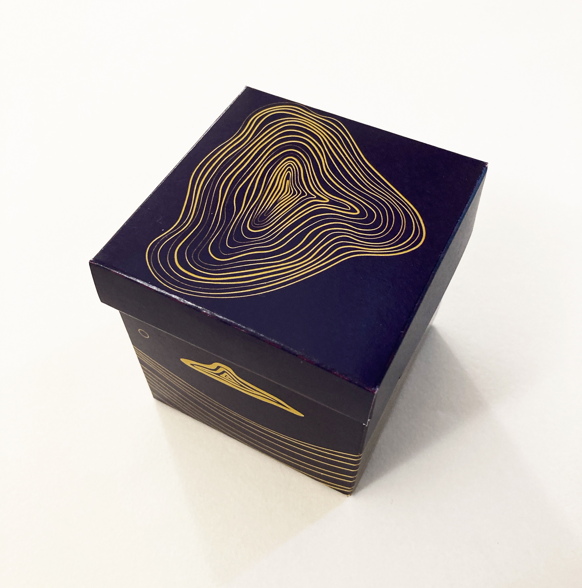 my packaging design inspired by the artist Giovanni Gaggia | 2022