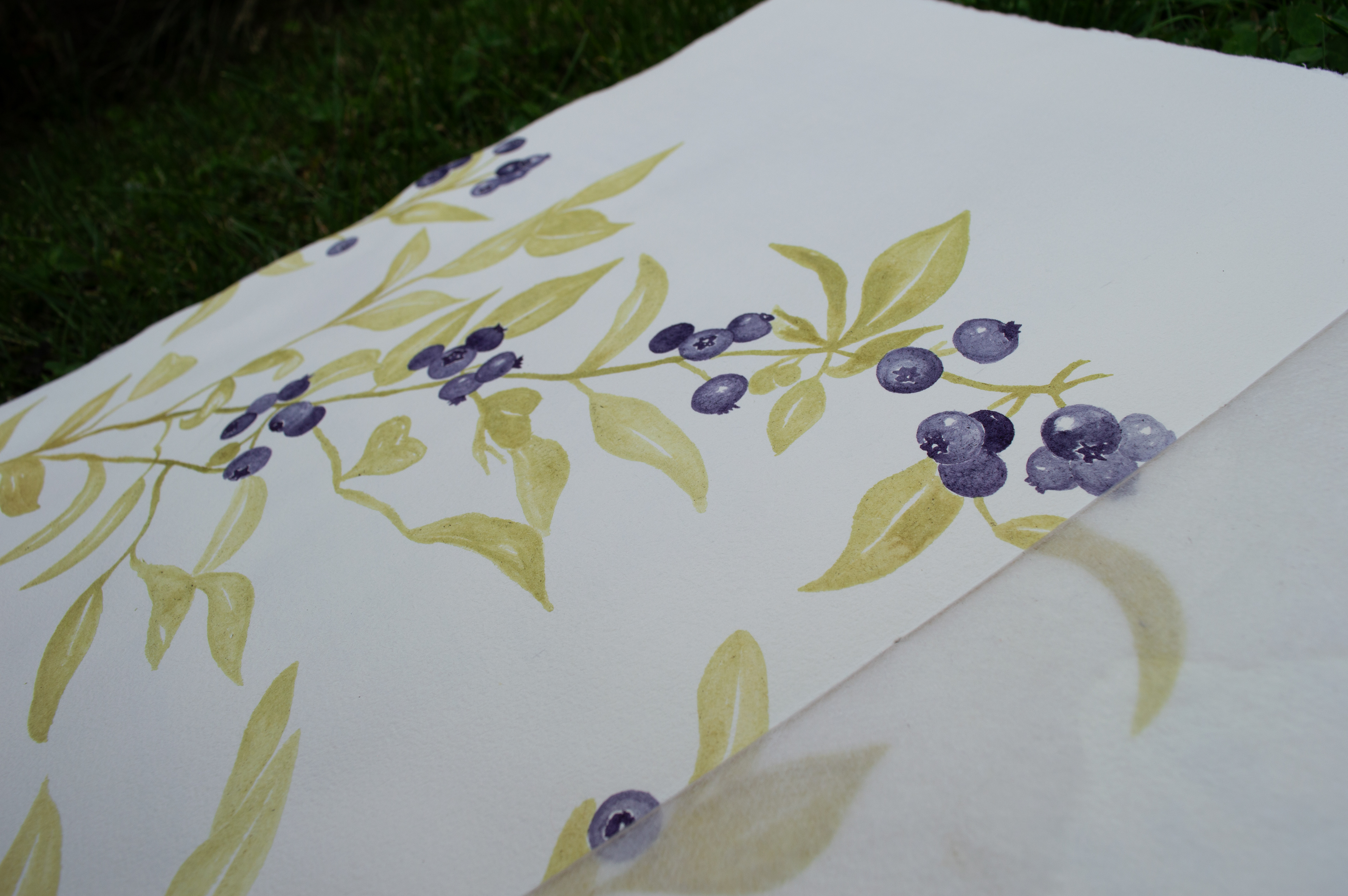 blueberries painted with homemade blueberry ink 