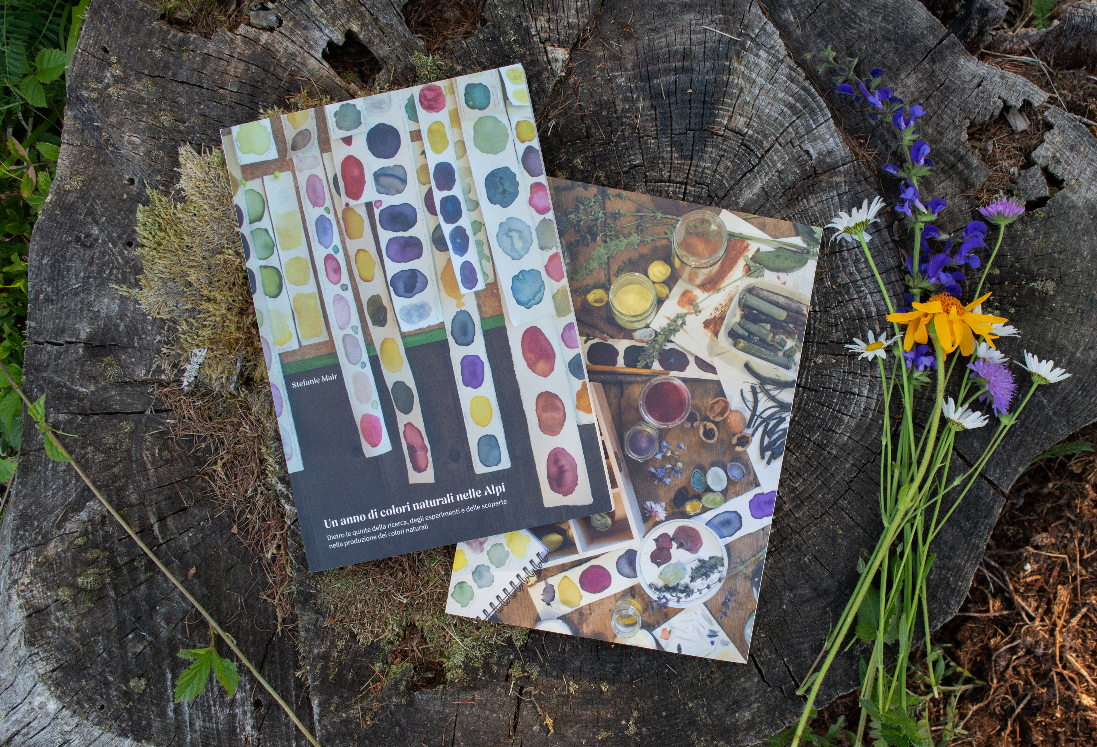 «Un anno di colori naturali nelle Alpi» | Master’s Thesis | 2026