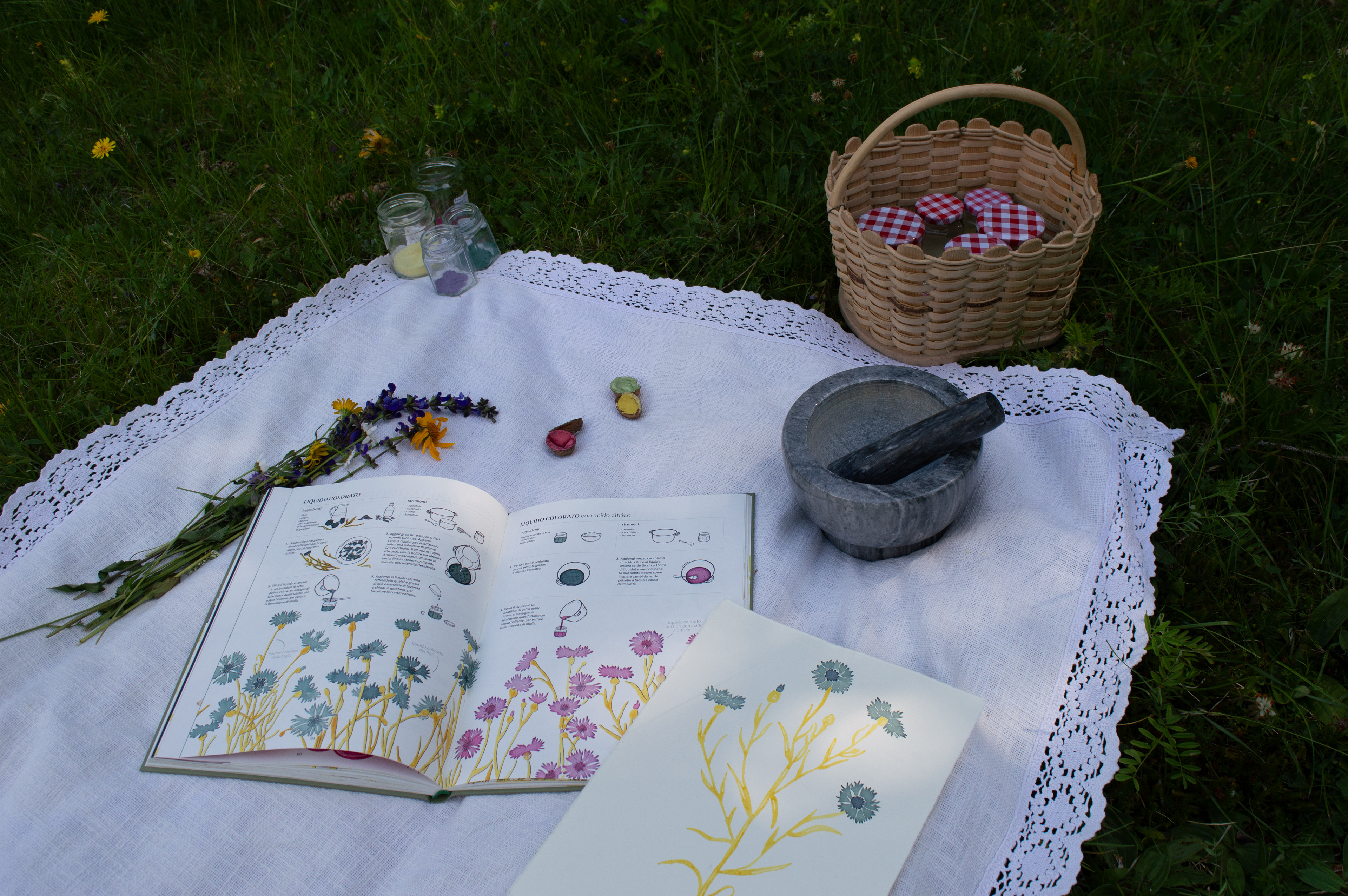 original illustration and the printed version of cornflowers