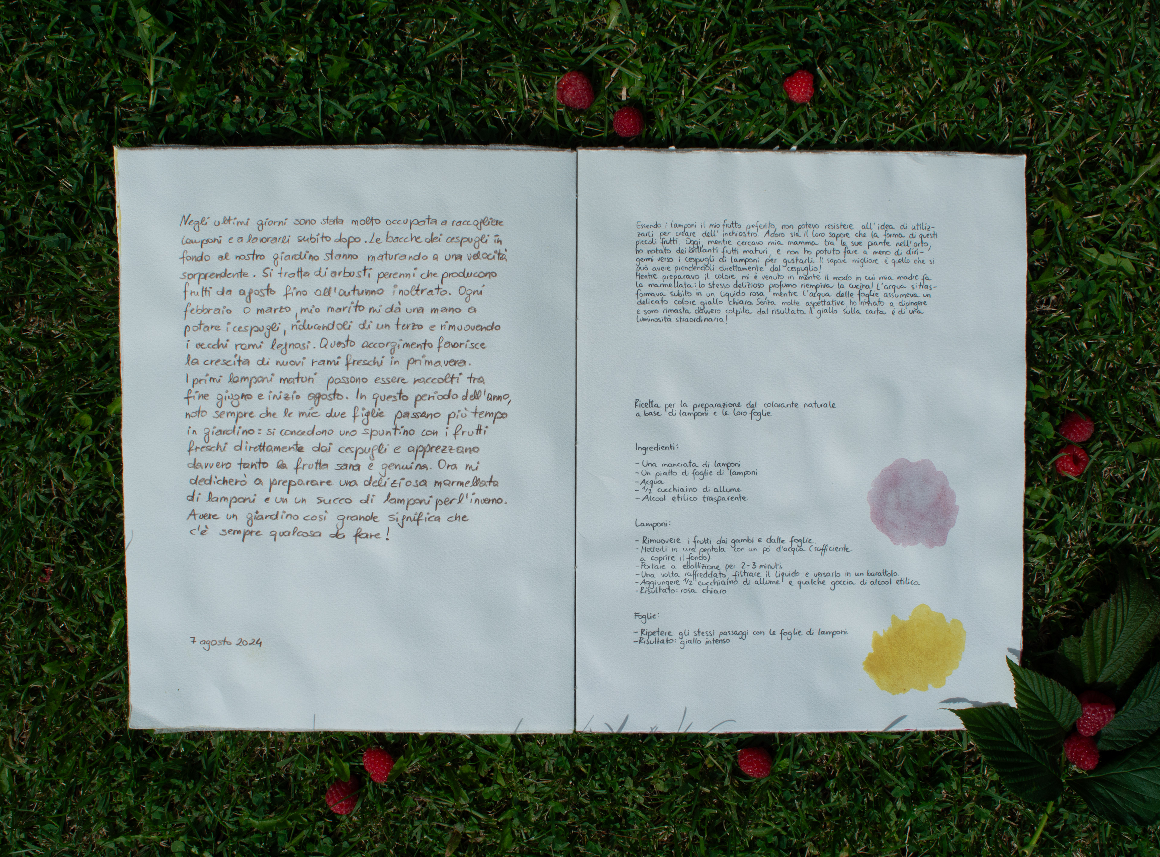 handwritten diary pages 