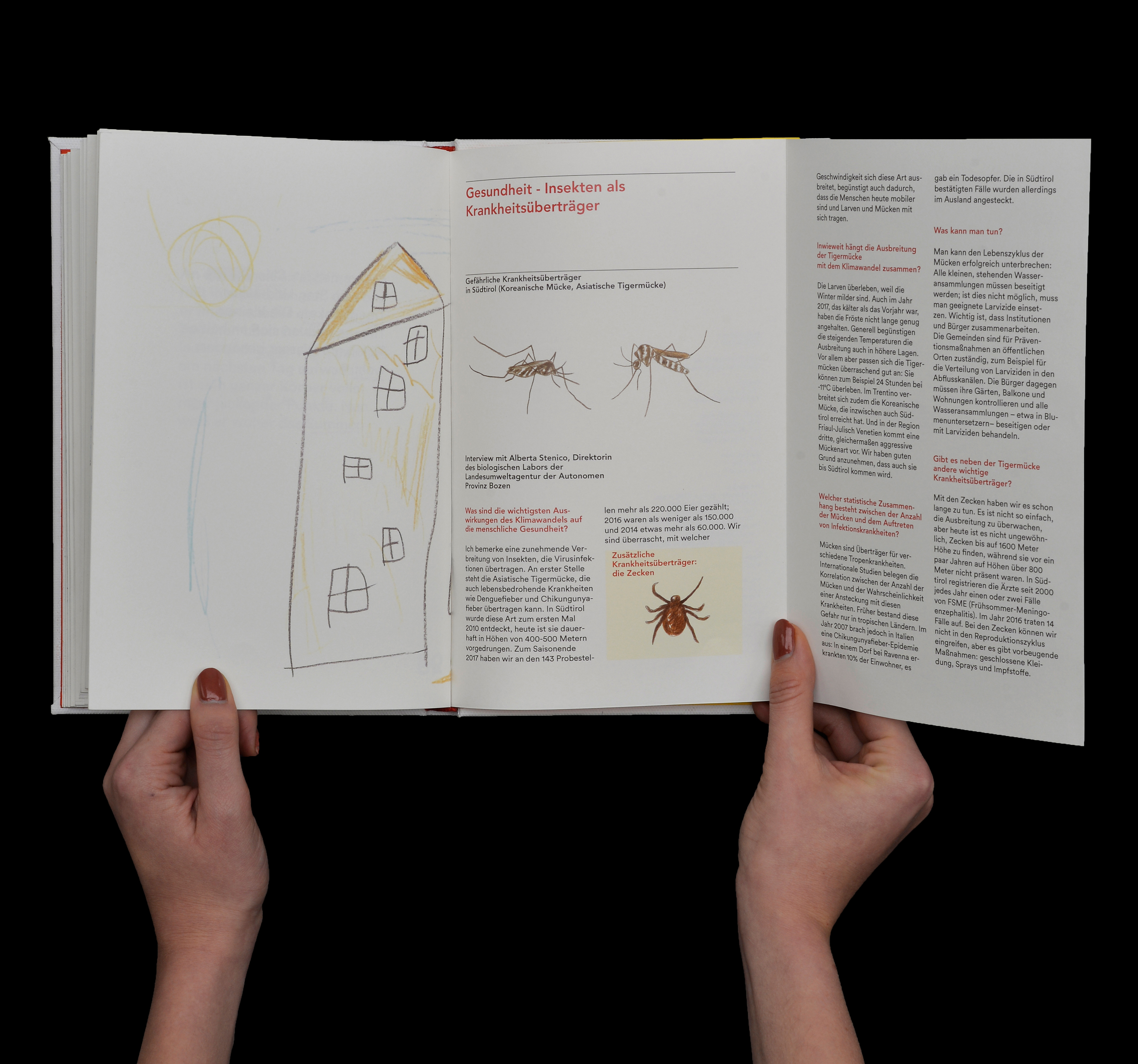 fold-out scientific double-page spread for adults about the topic of the story 